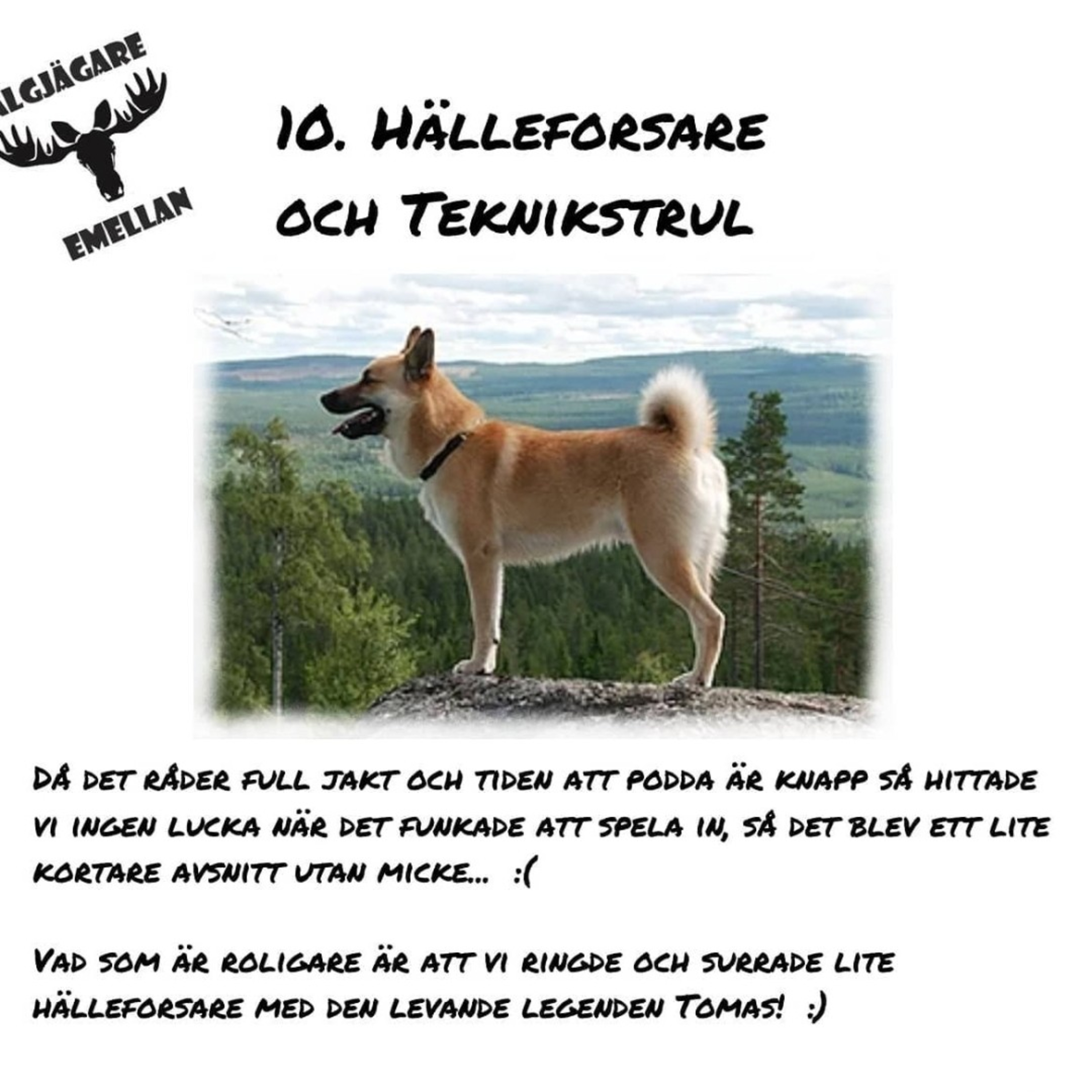 11. Hälleforsare & Teknikstrul episode artwork