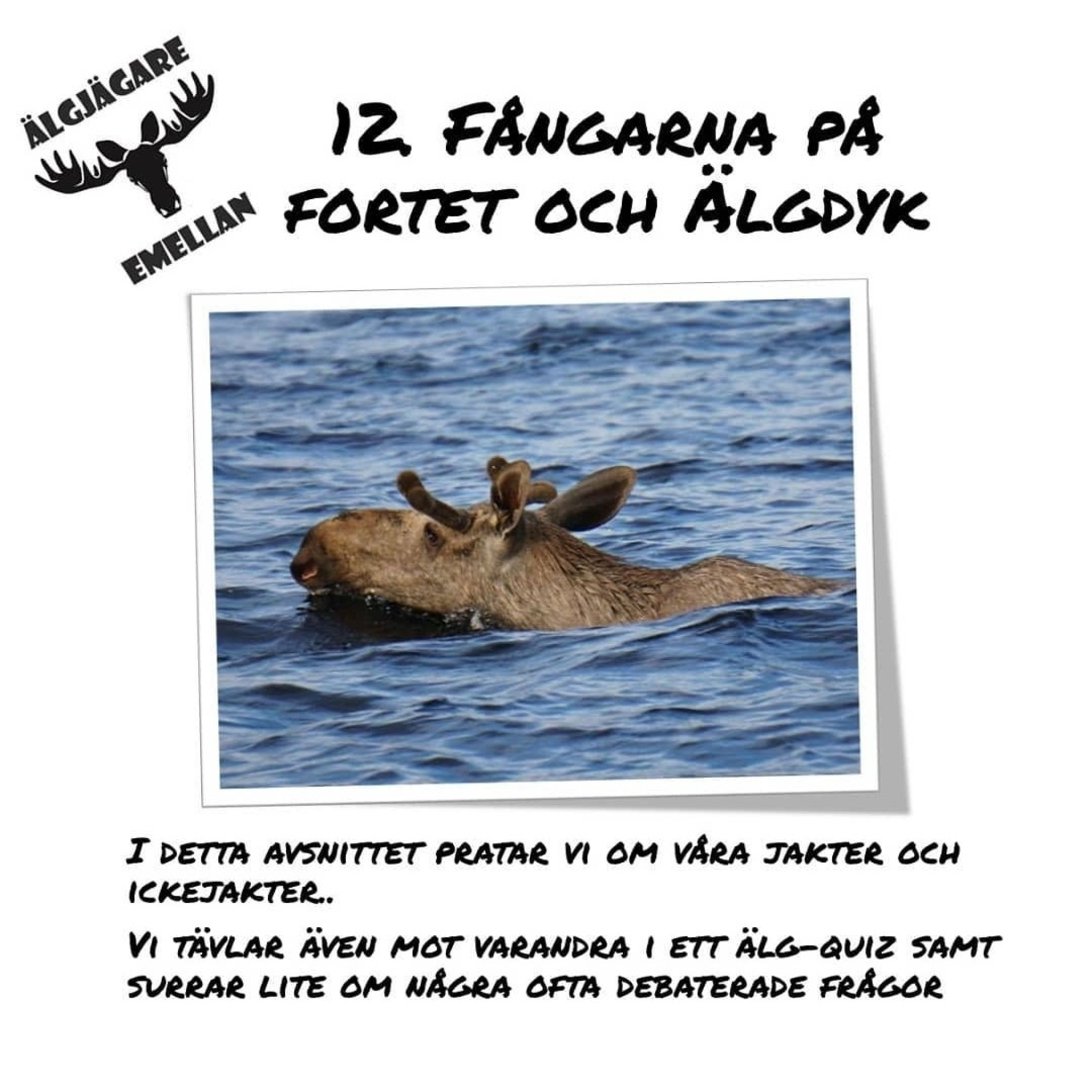 12. Fångarna på fortet & Älgdyk episode artwork