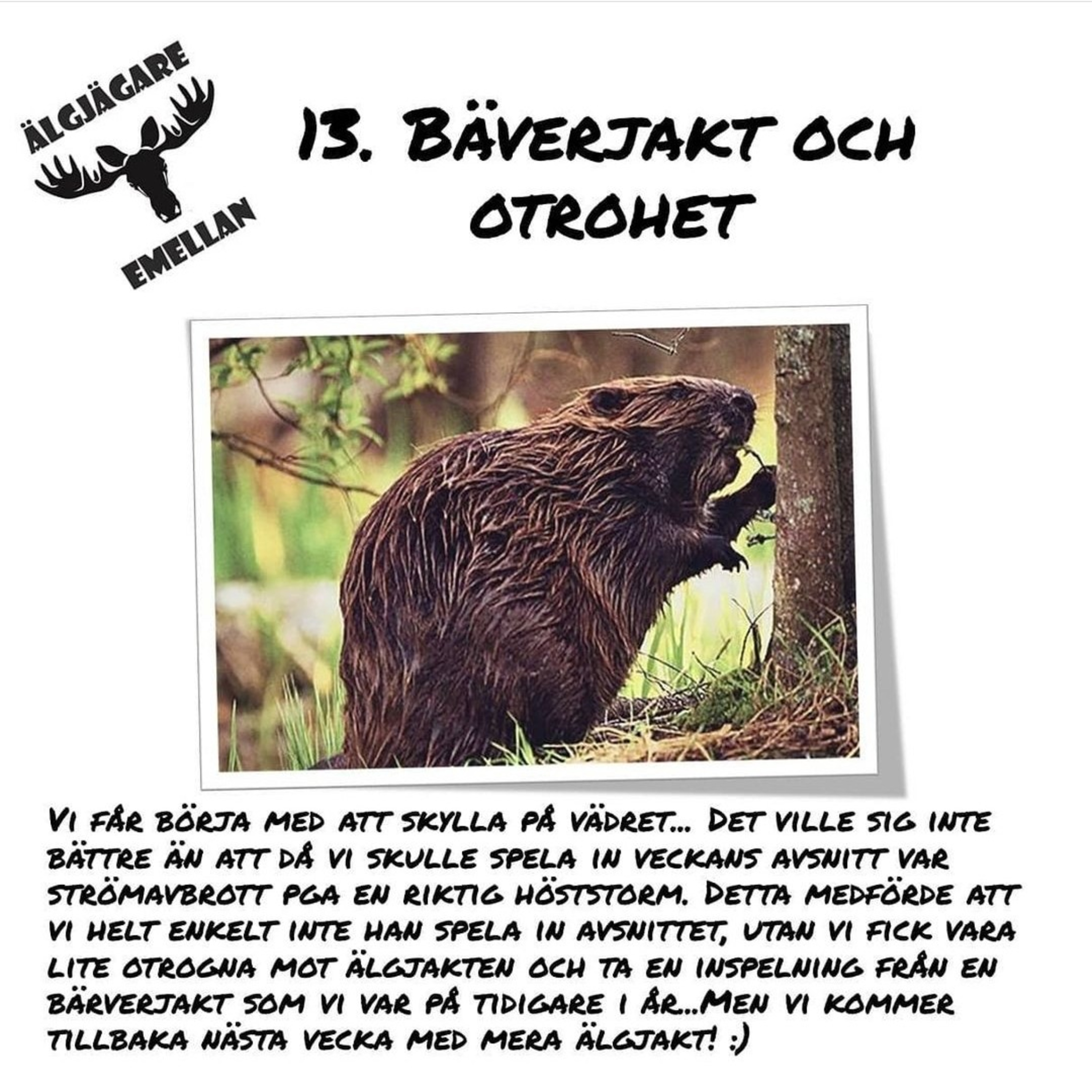13. Bäverjakt & Otrohet episode artwork