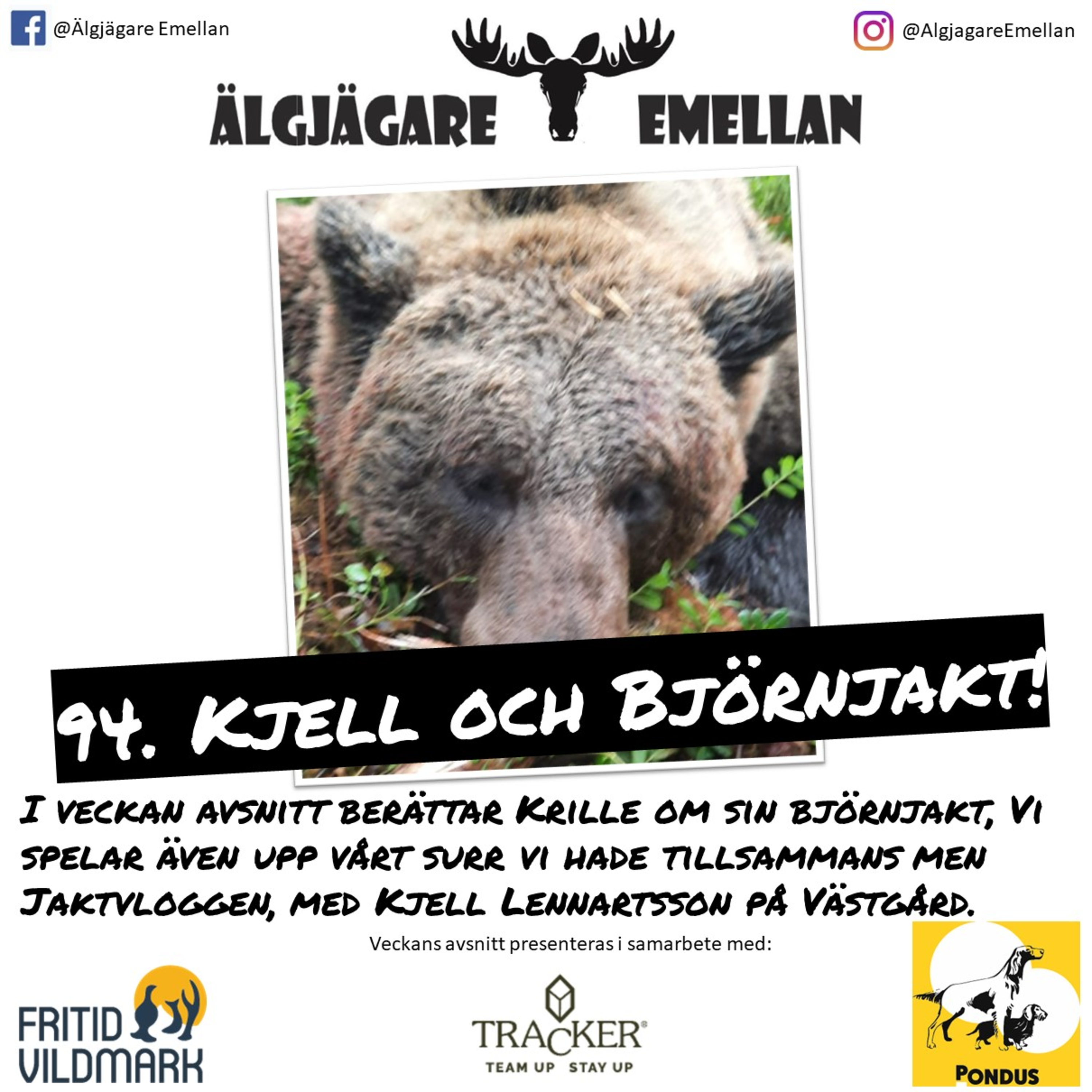 Älgjägare emellan