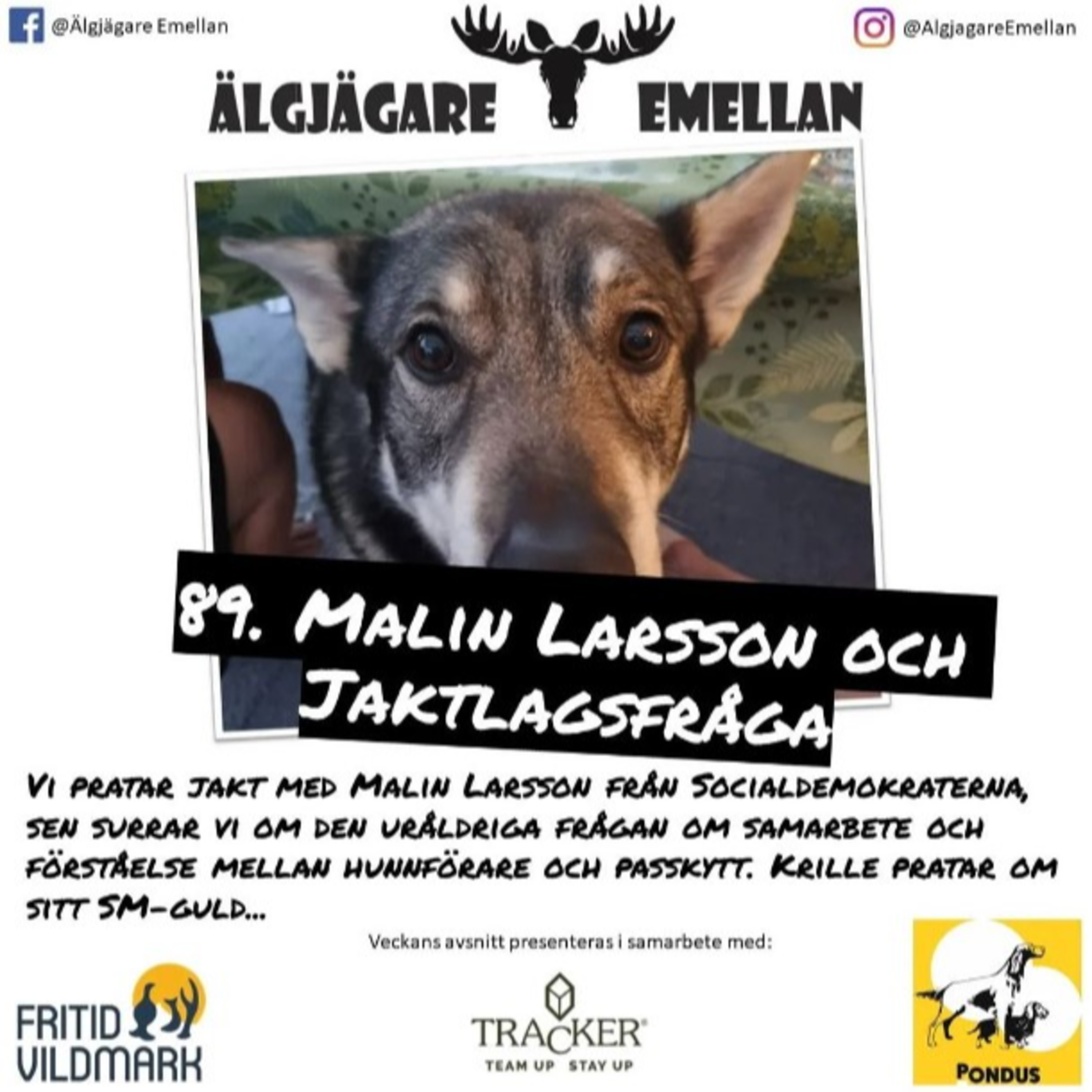 89. Malin Larsson & Jaktlagsfråga episode artwork