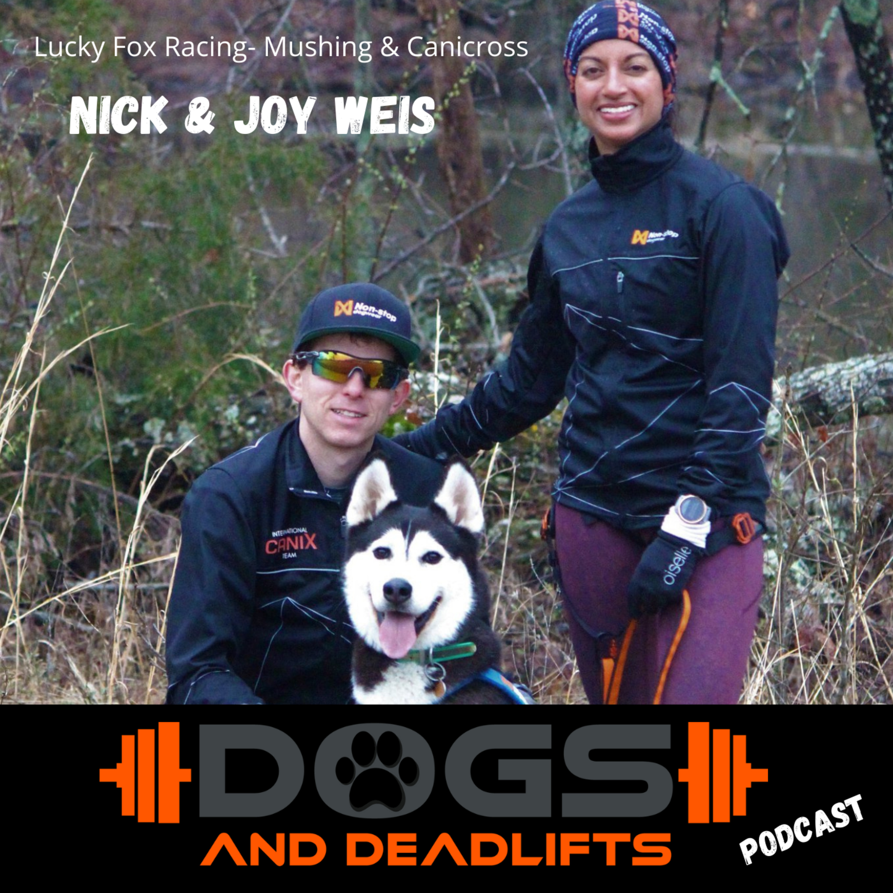 Dogs & Deadlifts - Build A Better Dog!
