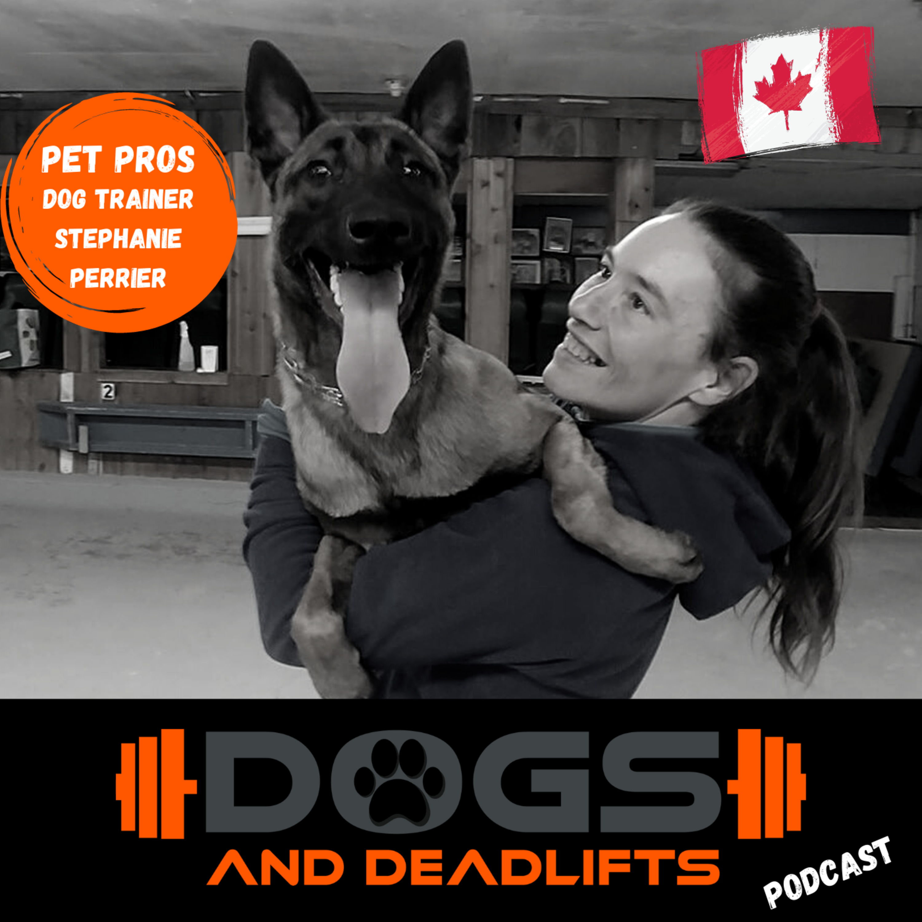 Dogs & Deadlifts - Build A Better Dog!