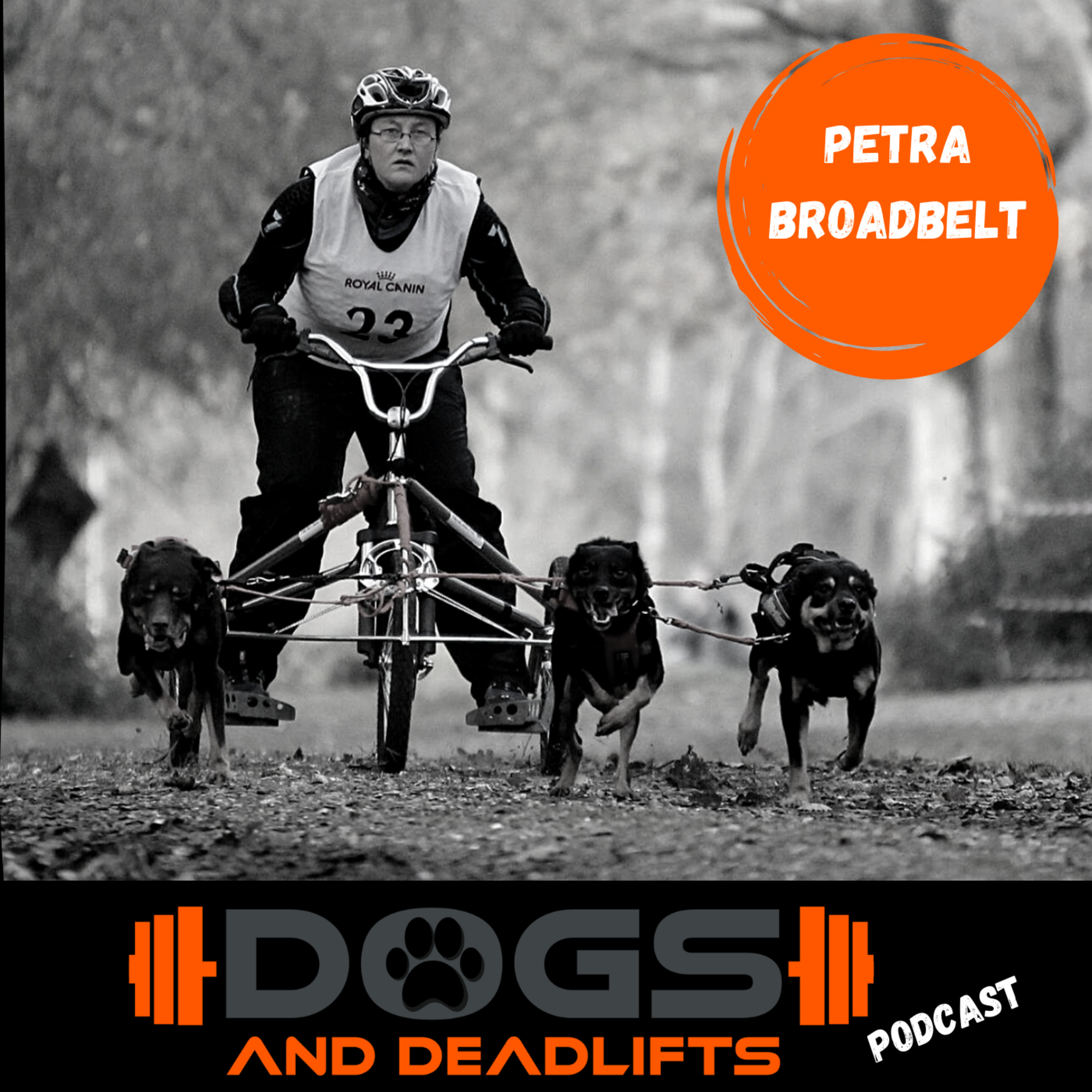 Dogs & Deadlifts - Build A Better Dog!