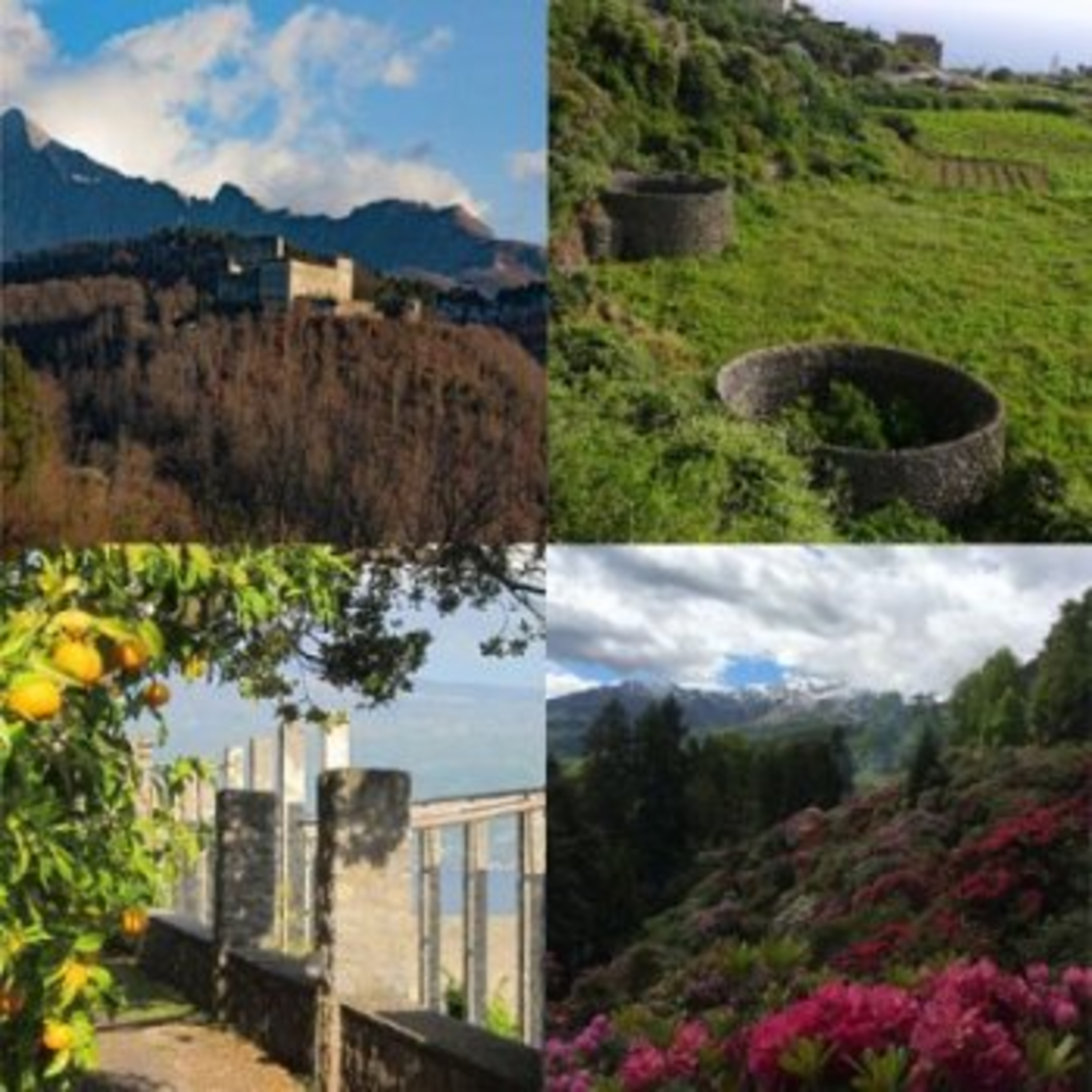 Paesaggi identitari "La Lunigiana tra castelli, borghi fortificati e nobili città" episode artwork