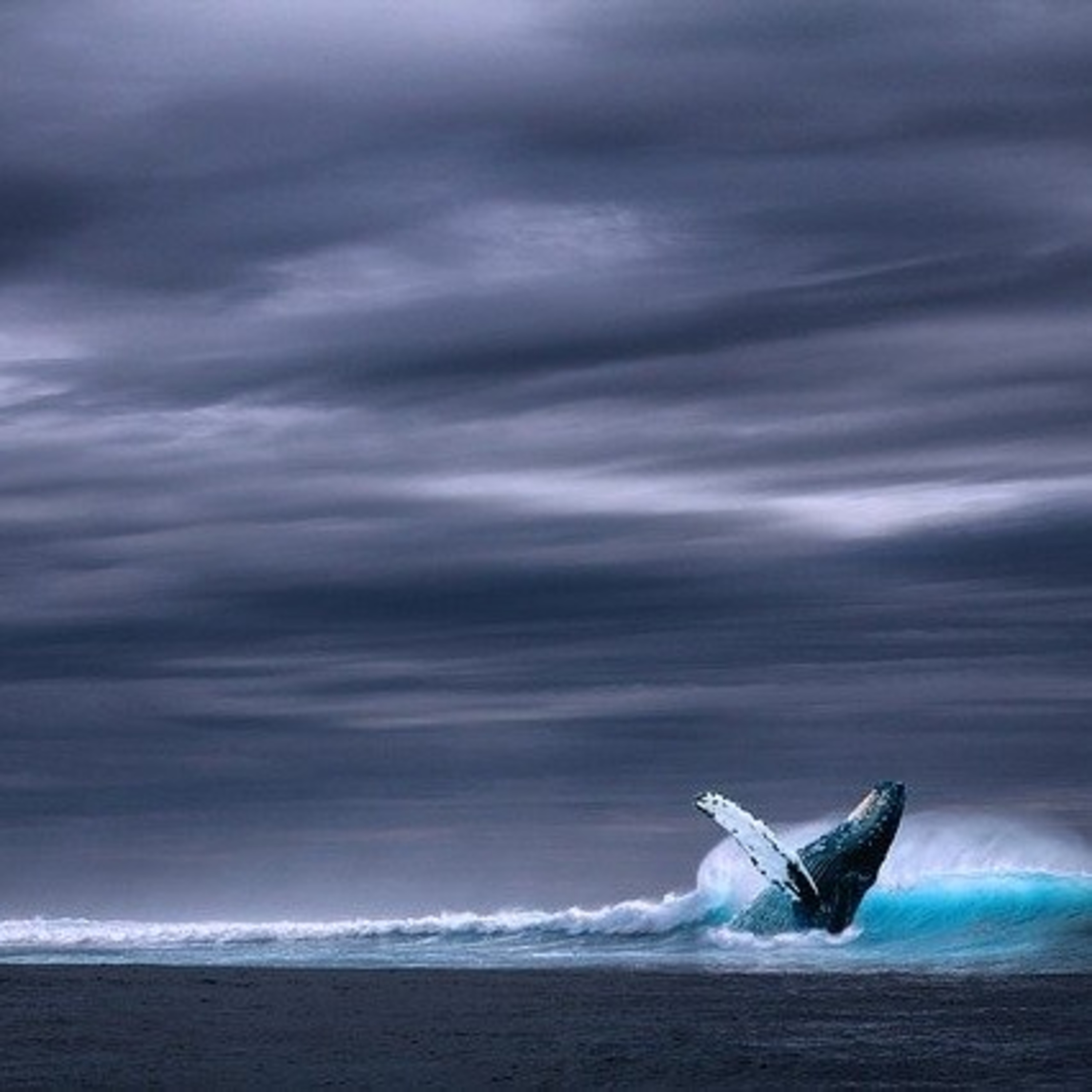 EP 174 Grey Whales  episode artwork