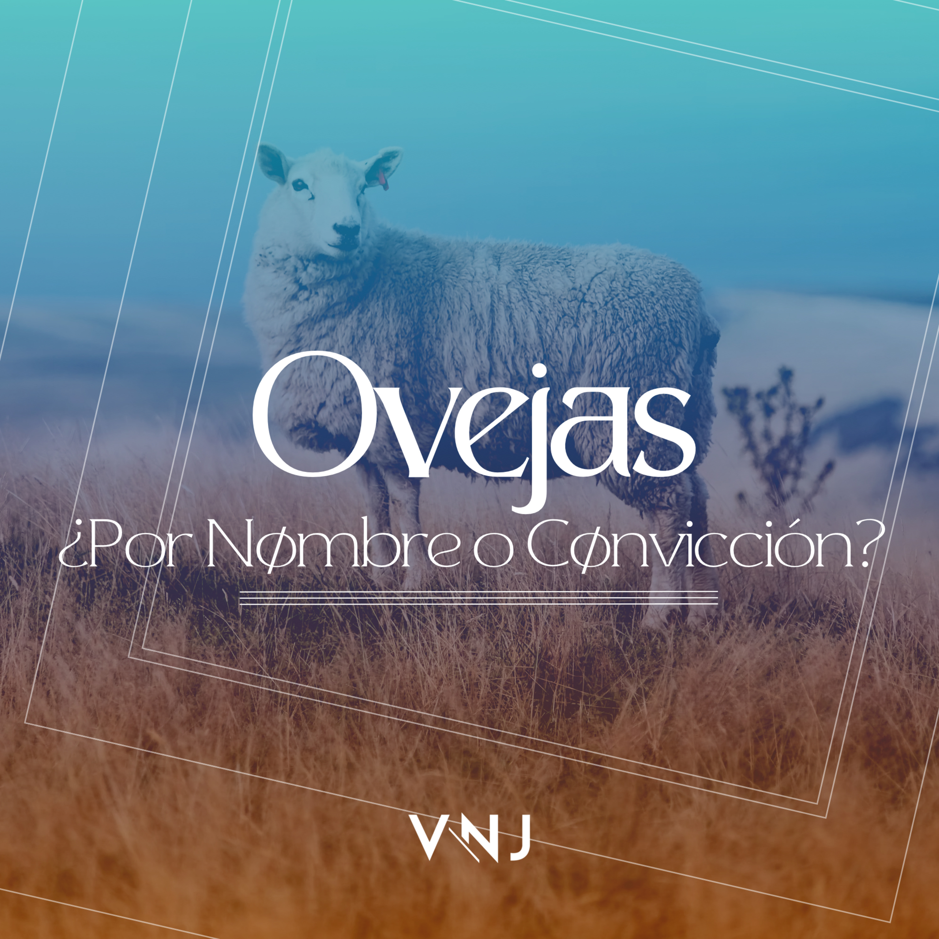Tribu VN Norte - Conferencias