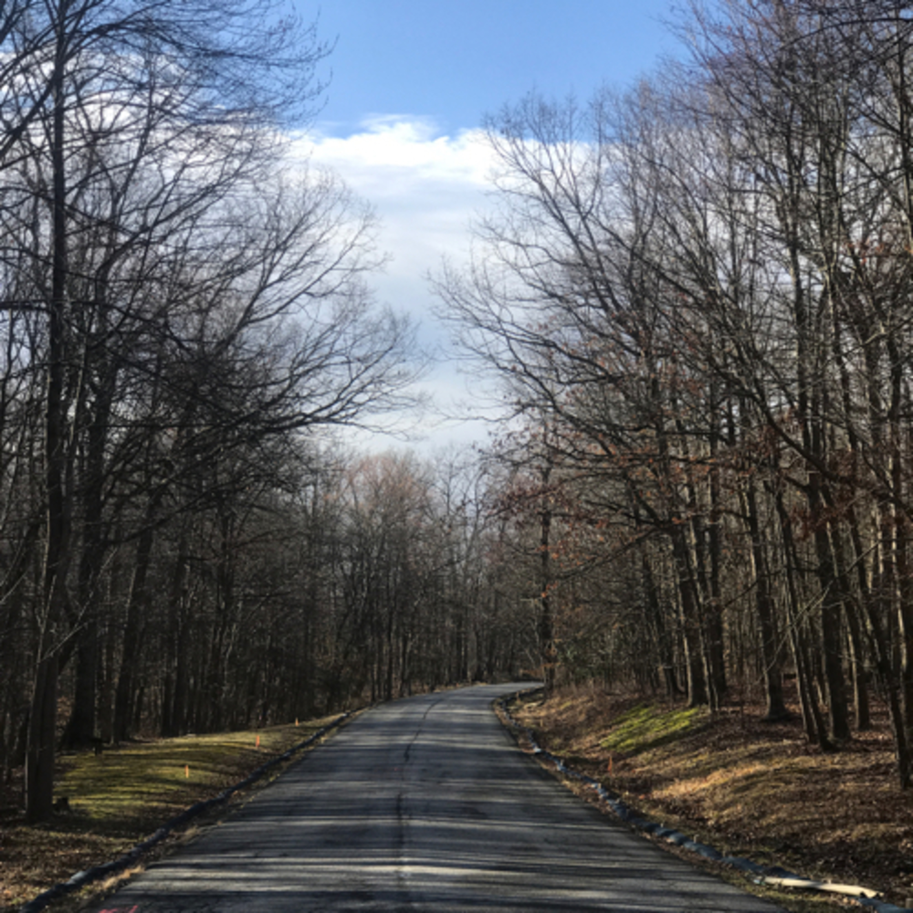 The Back to Life Back to Reality Podcast