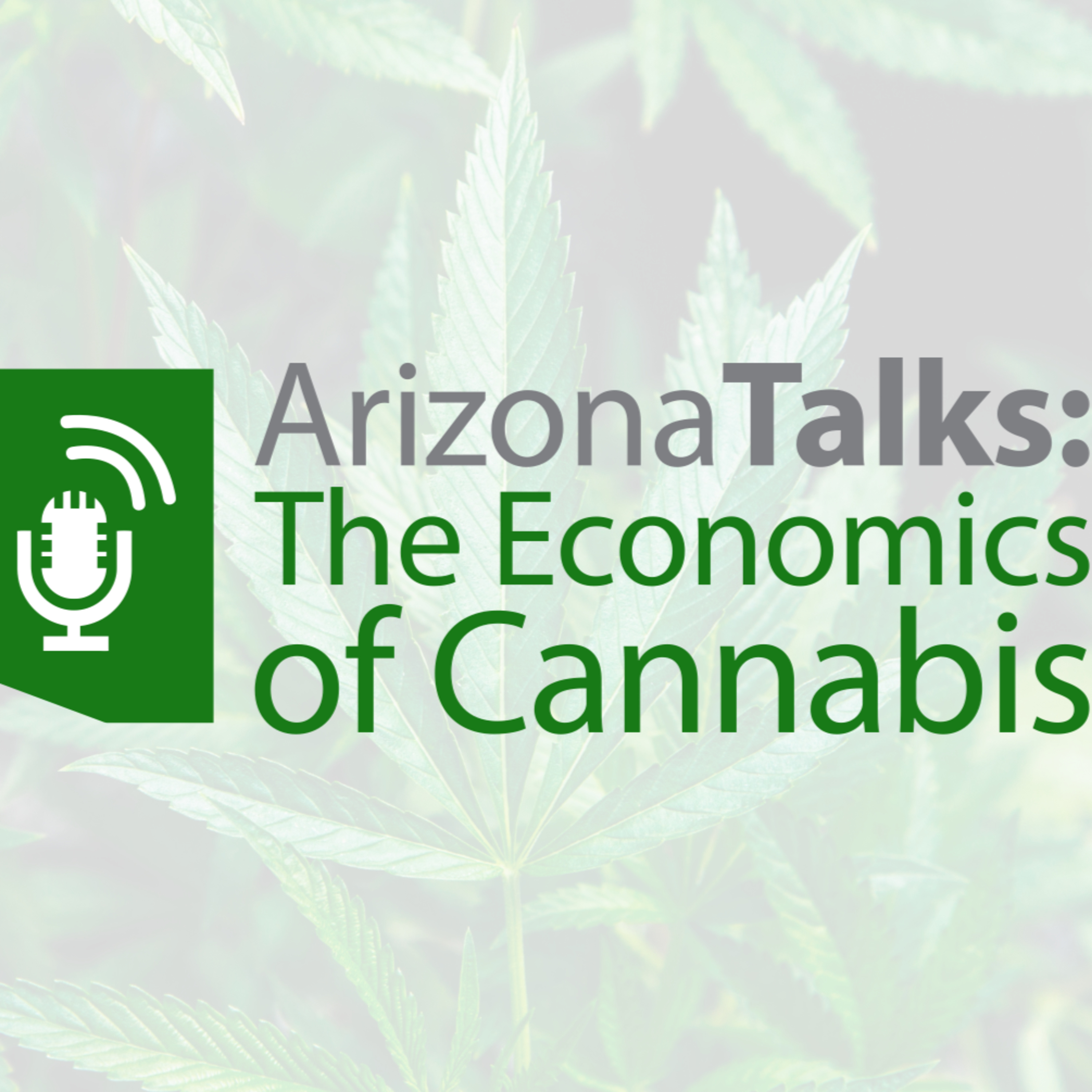 Cannabis Research, Vaping Safety, & Regulation by Kim Prince, Dr. Sue Sisely, & Derek Espinoza episode artwork