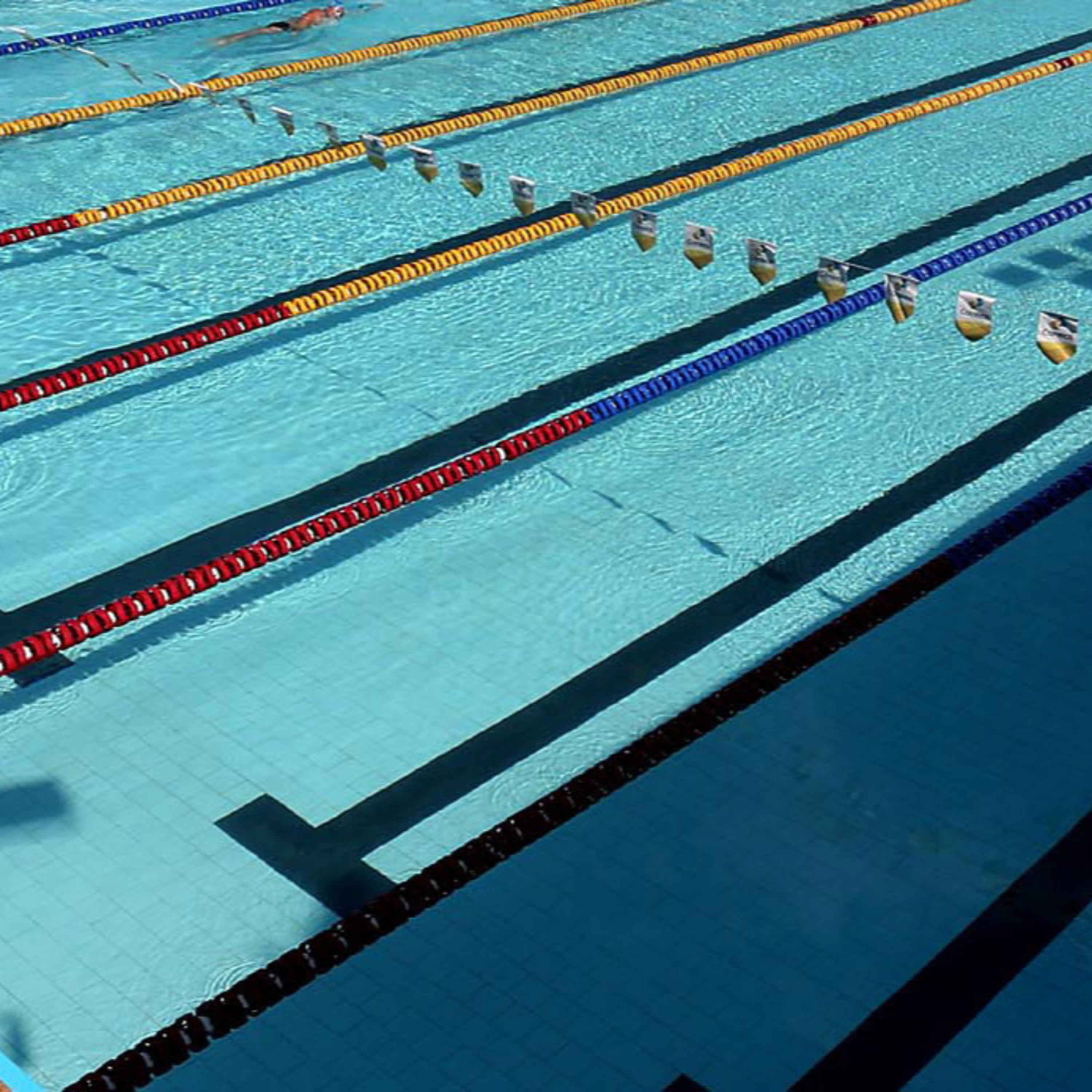 Como os nadadores treinam sem piscina na quarentena? (27-04-2020) episode artwork