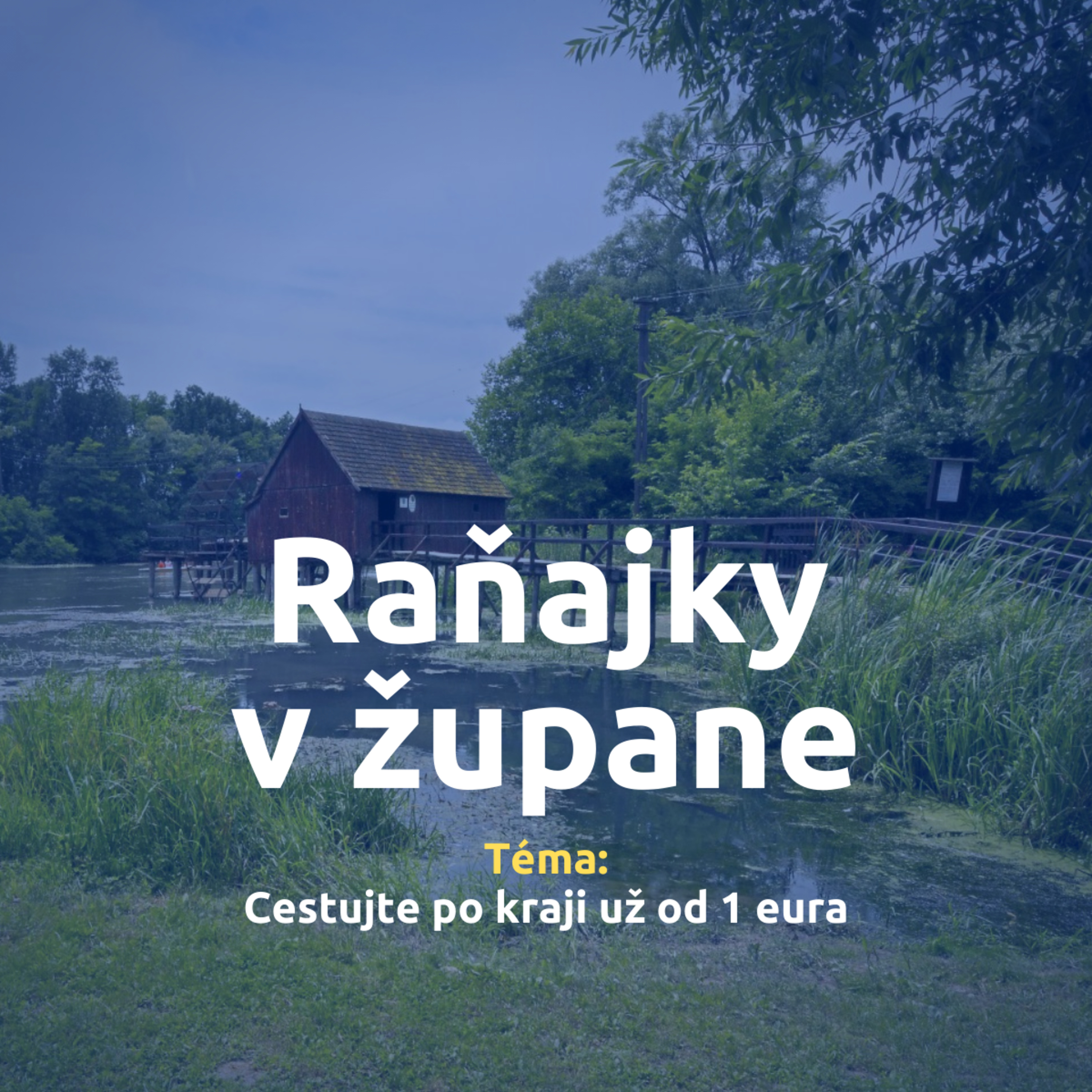 Trnavský kraj