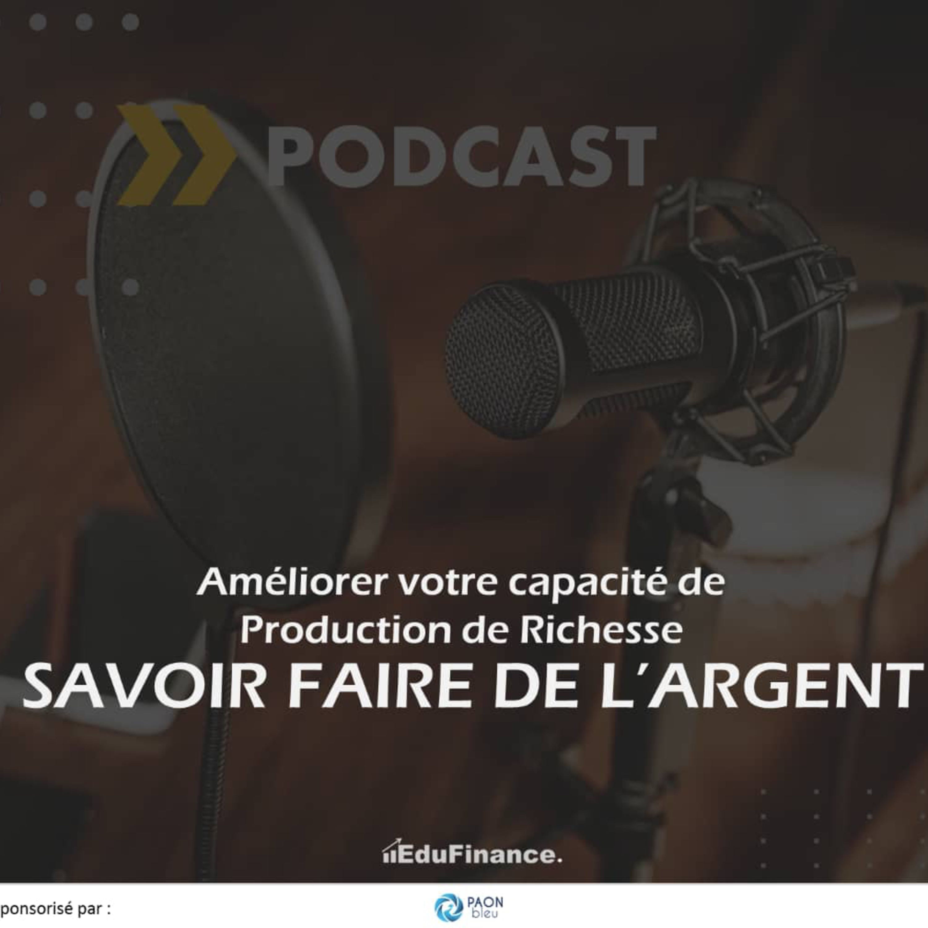 Savoir Faire de l’argent/ Améliorer votre capacité de production de richesse 