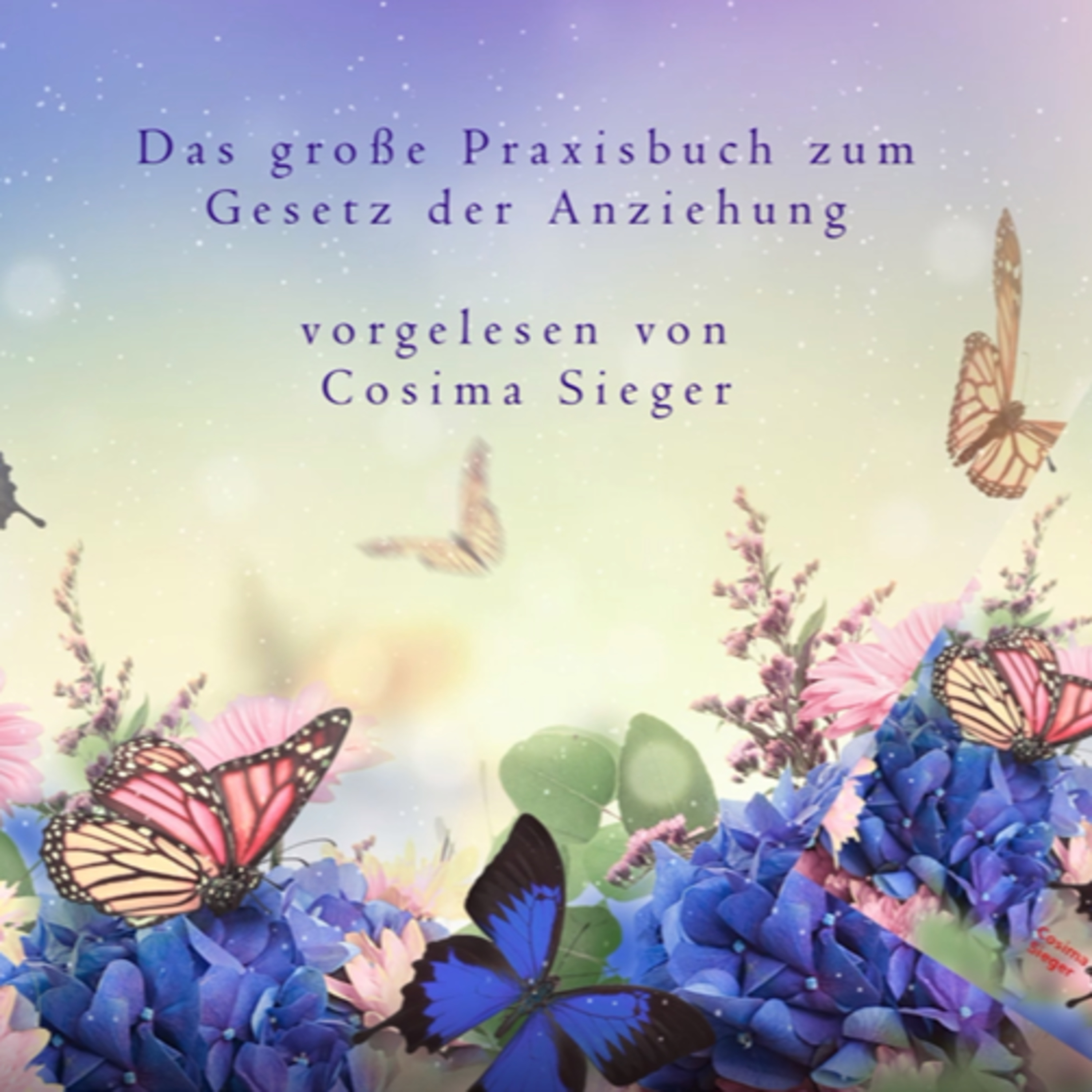 Stark, gelassen und glücklich mit Cosima Sieger:Der Wohlfühl-Podcast zum Youtube Kanal