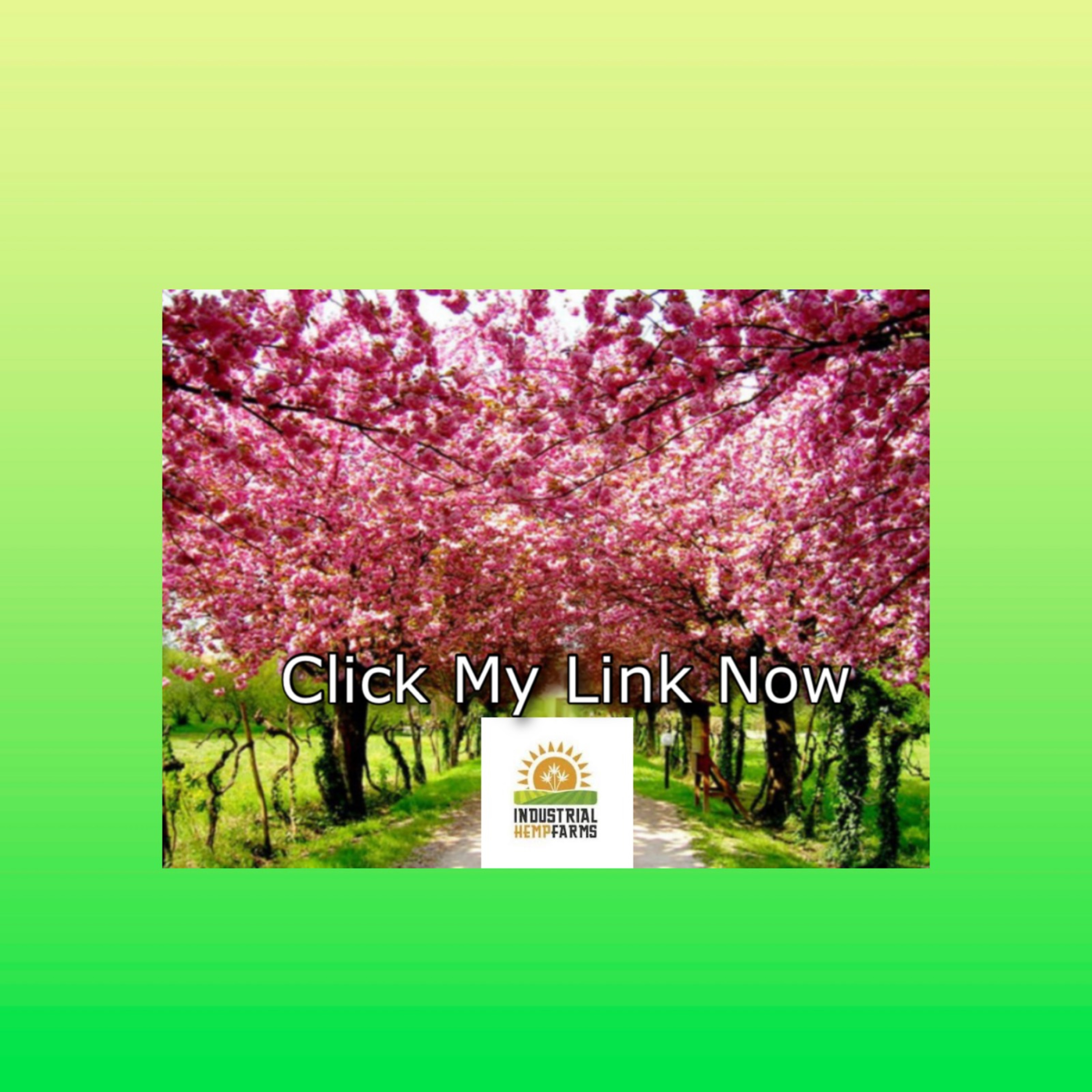 Mouzon Wellness Marketing Travels & Promotions