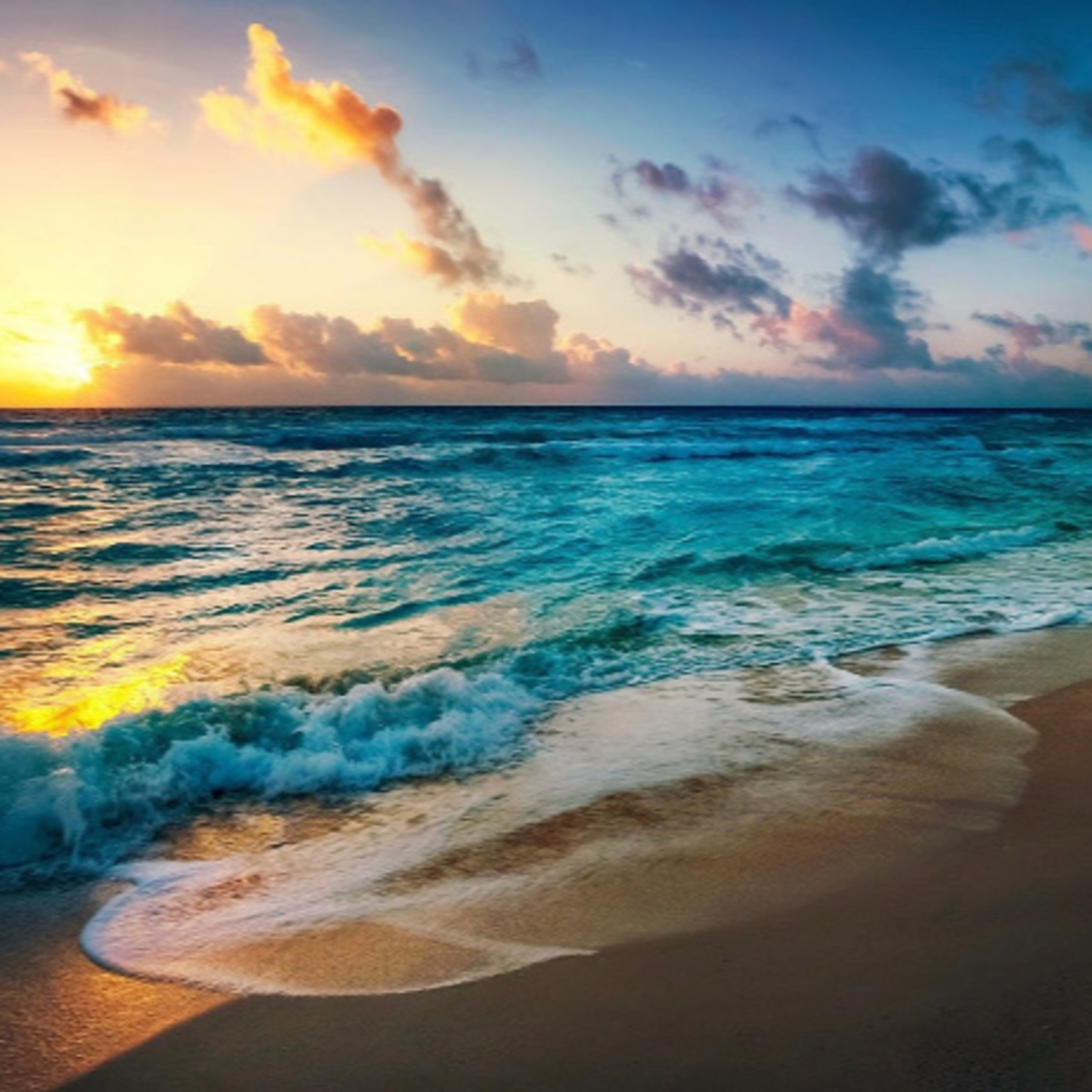 Mouzon Wellness Marketing Travels & Promotions
