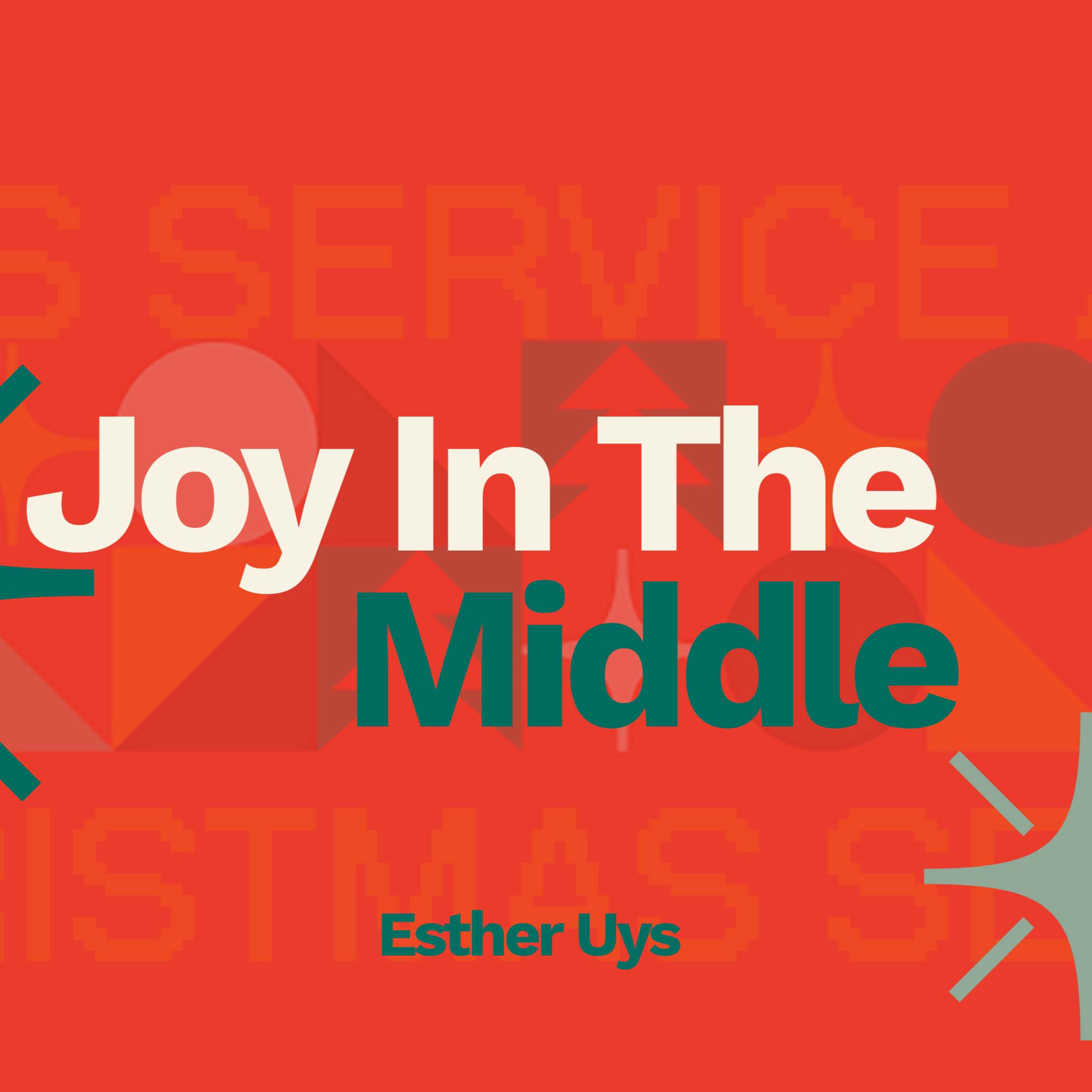 Joy In The Middle episode artwork