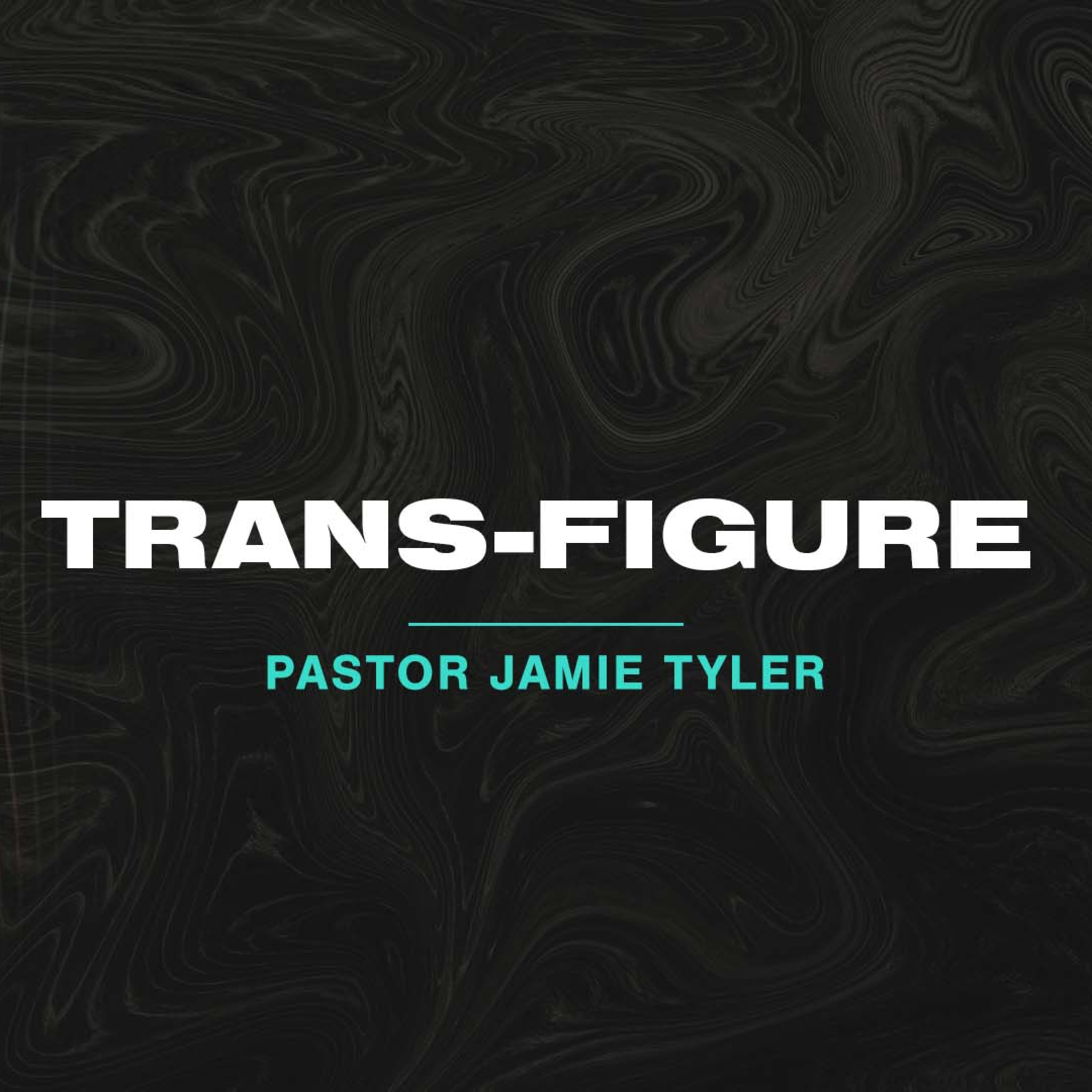 Trans-Figure episode artwork