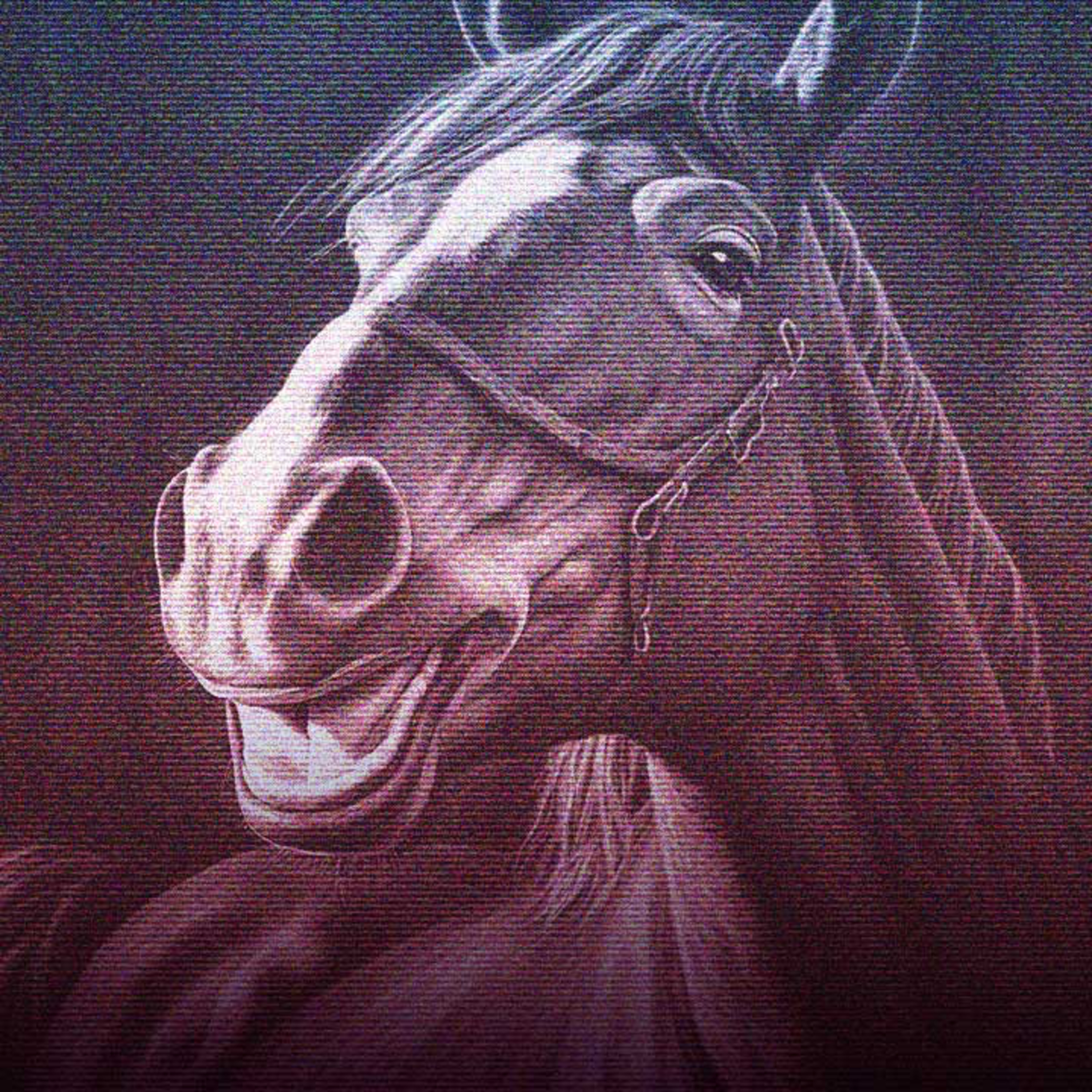 Tangent #19: I Had a Horse on My Foot episode artwork