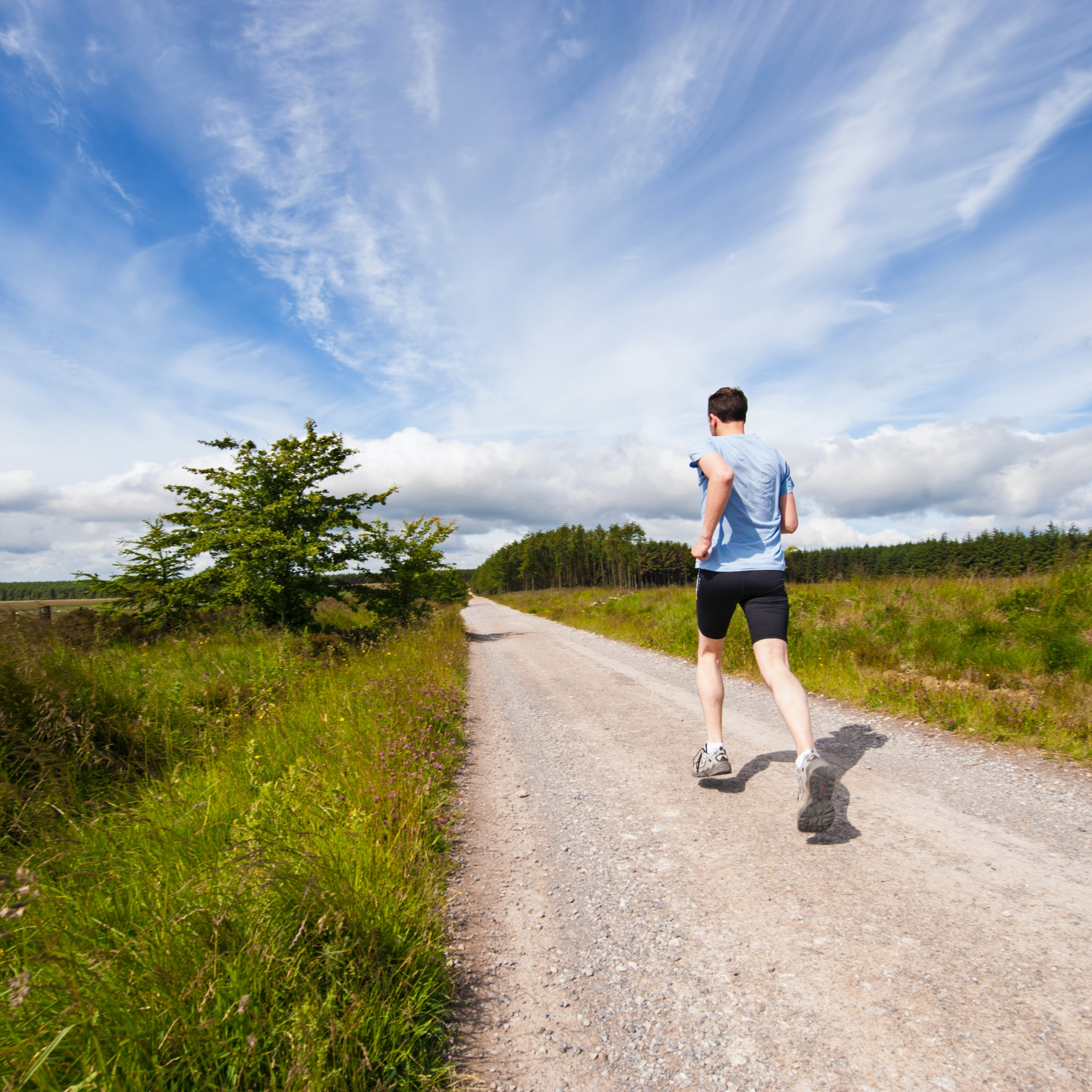 Veg Out 389: Josh LaJaunie Coonass|Runner|Plant Eater|Community Builder episode artwork