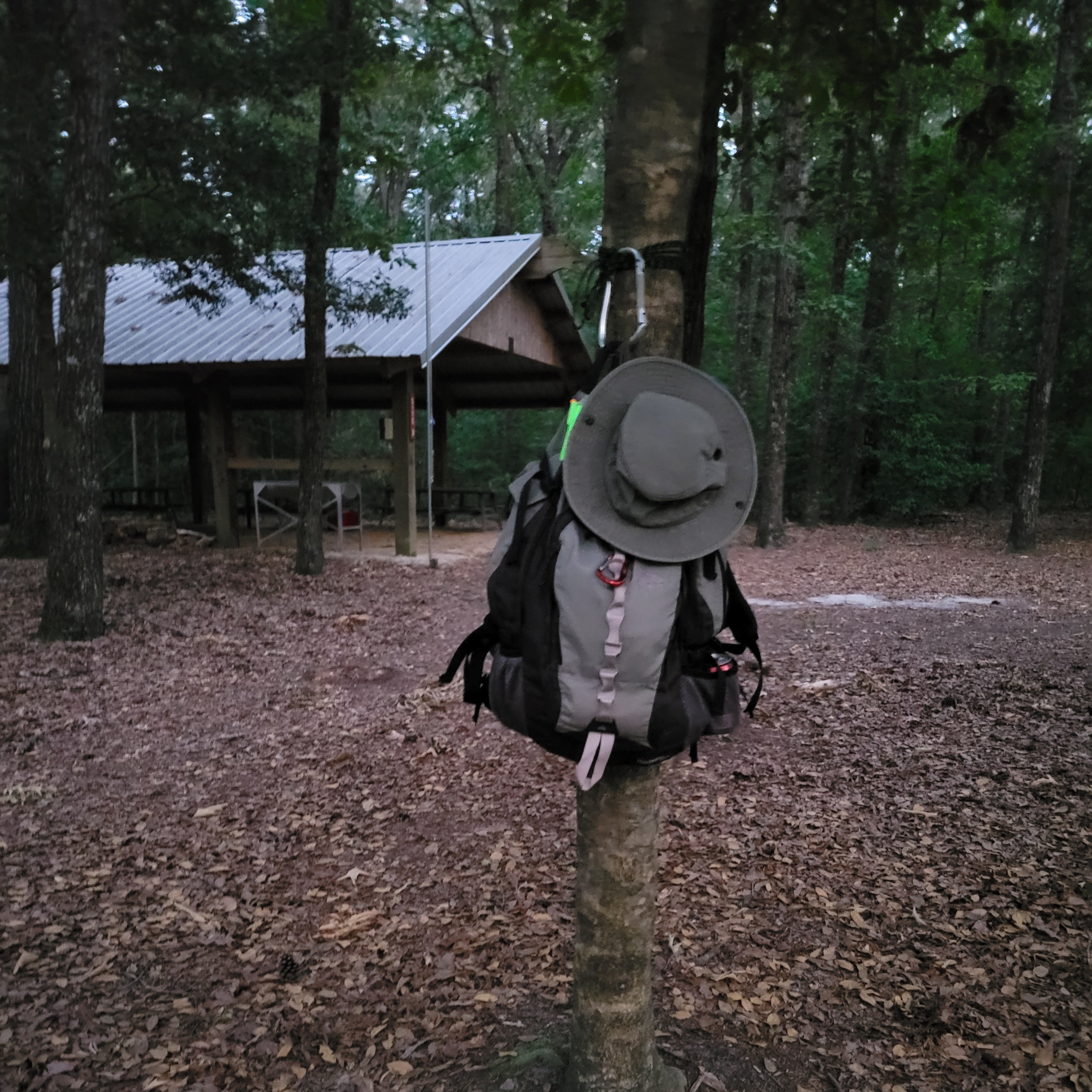 Cub Summer Camps episode artwork