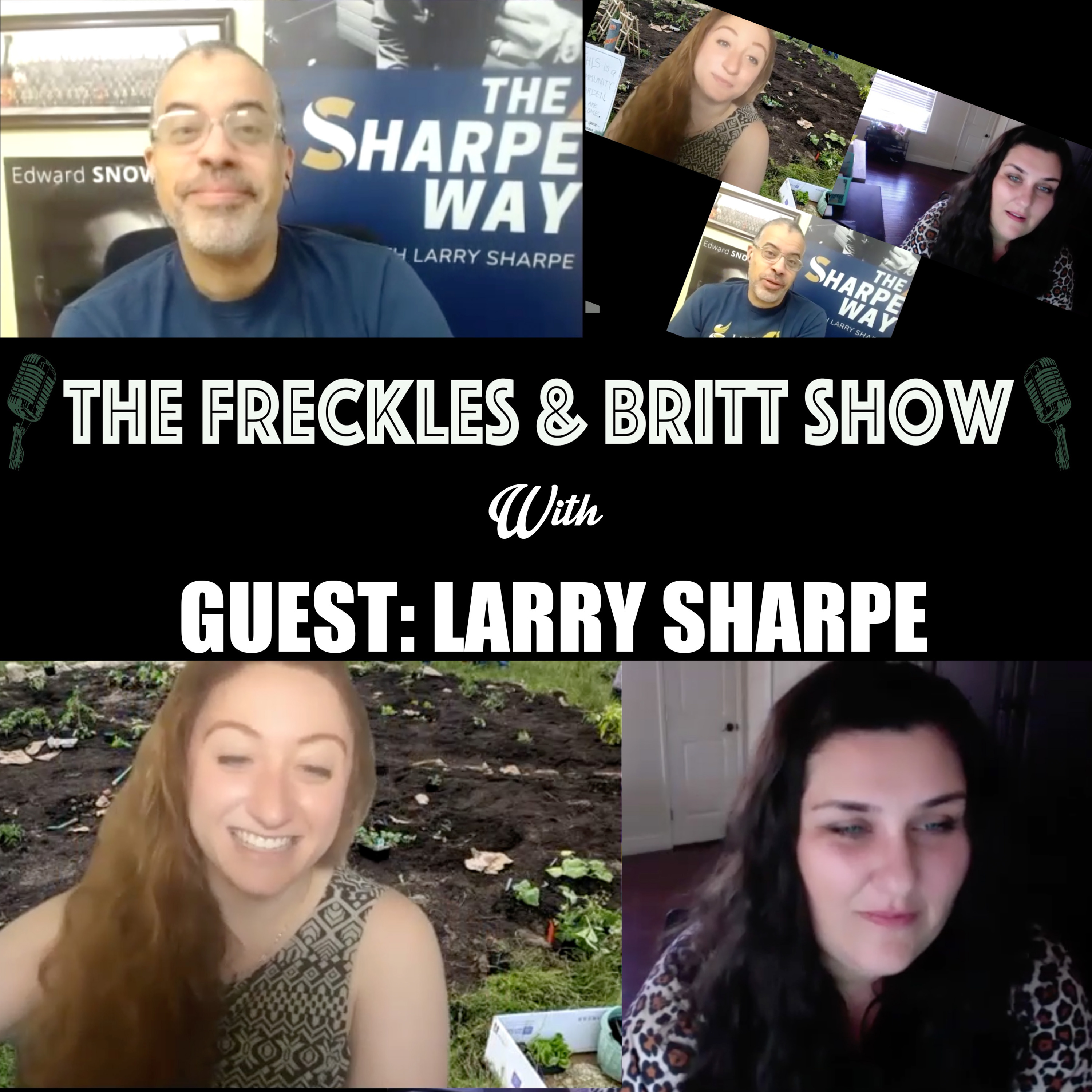 The FaB Show
