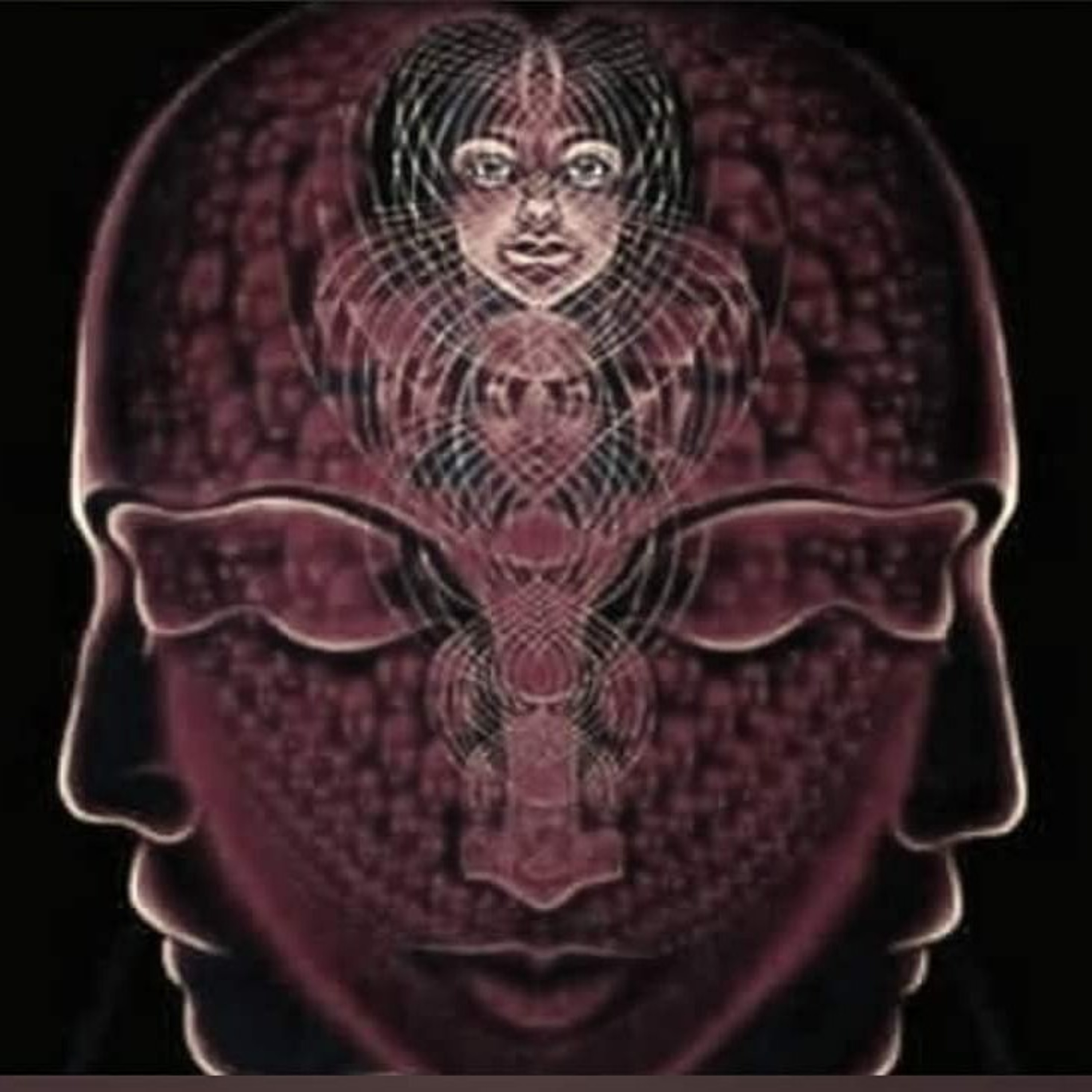 Cognitive dissonance - Here again episode artwork