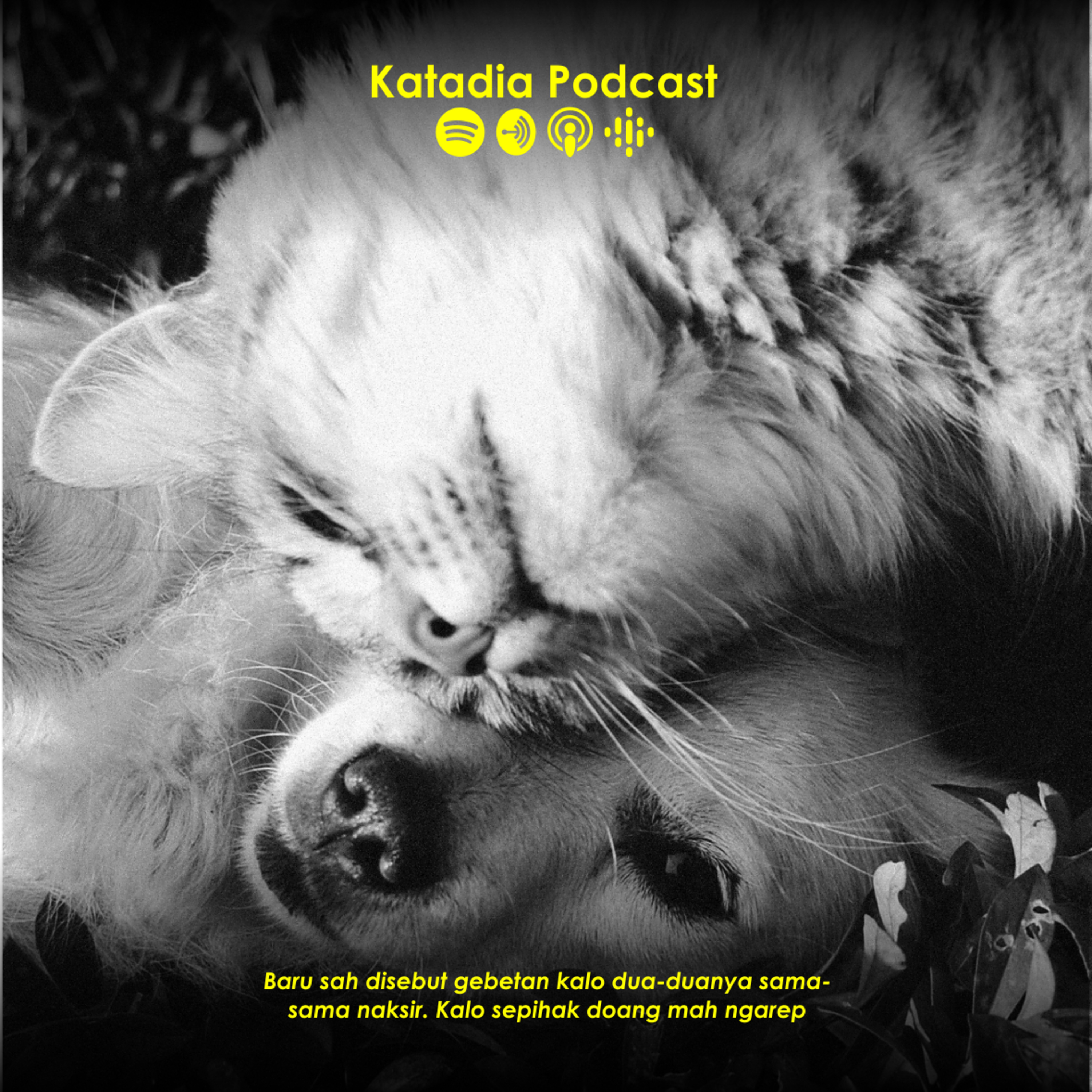Katadia Podcast