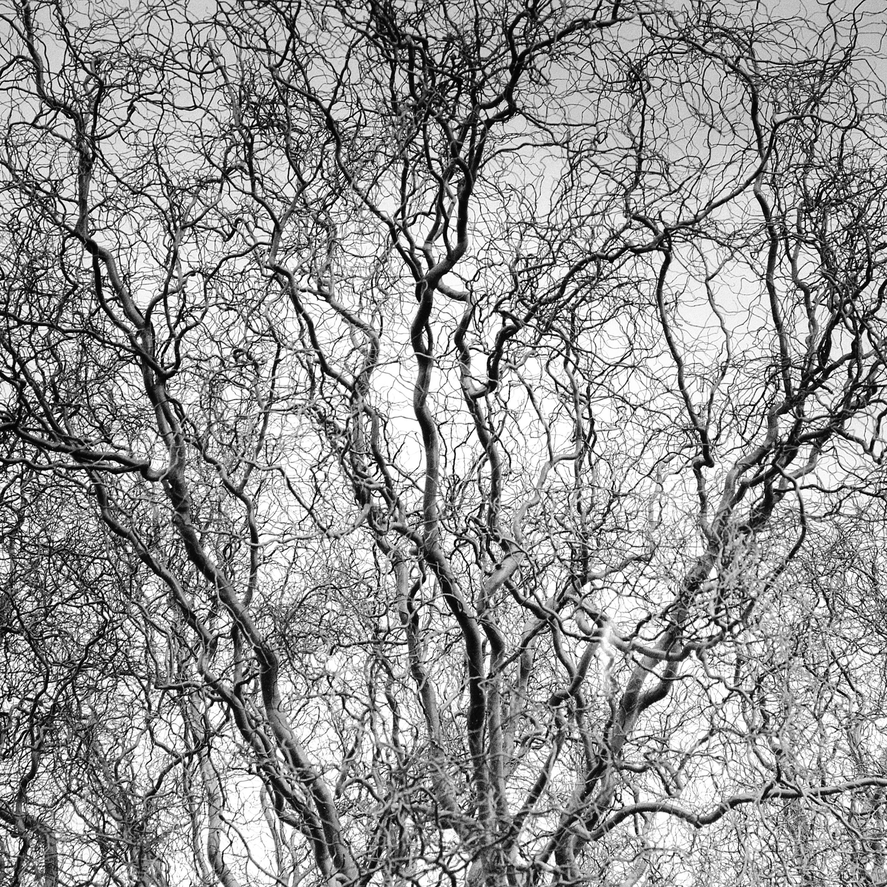 Darkroom Mistakes to avoid