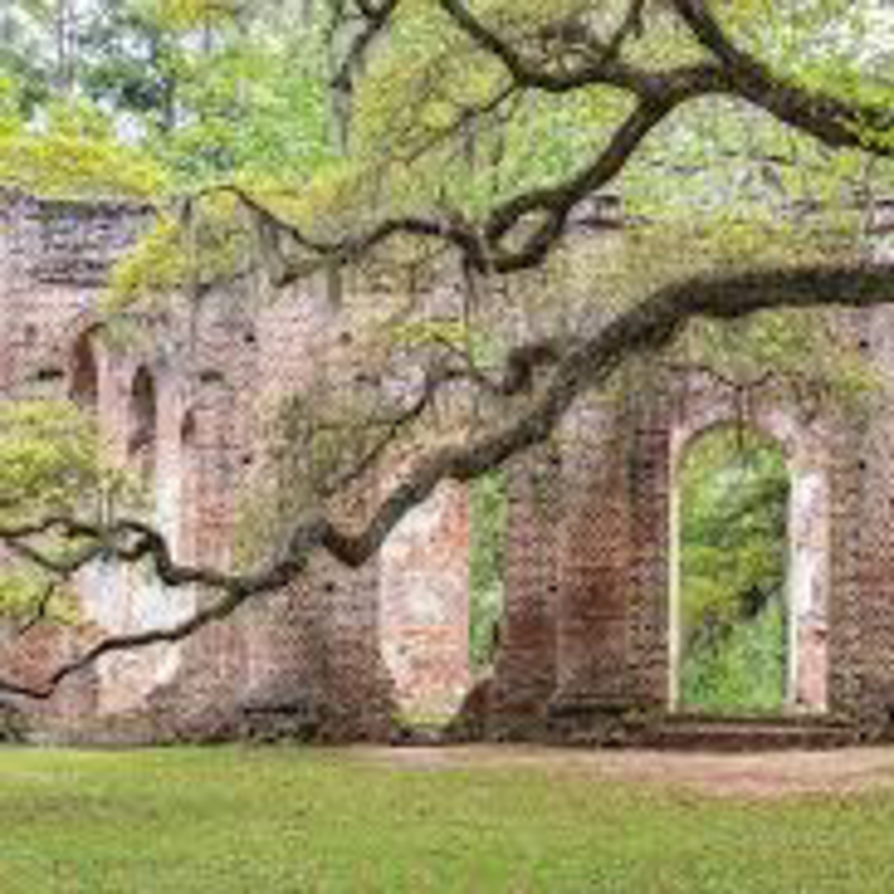1. Edisto Island/Adams Run/Beaufort, South Carolina episode artwork
