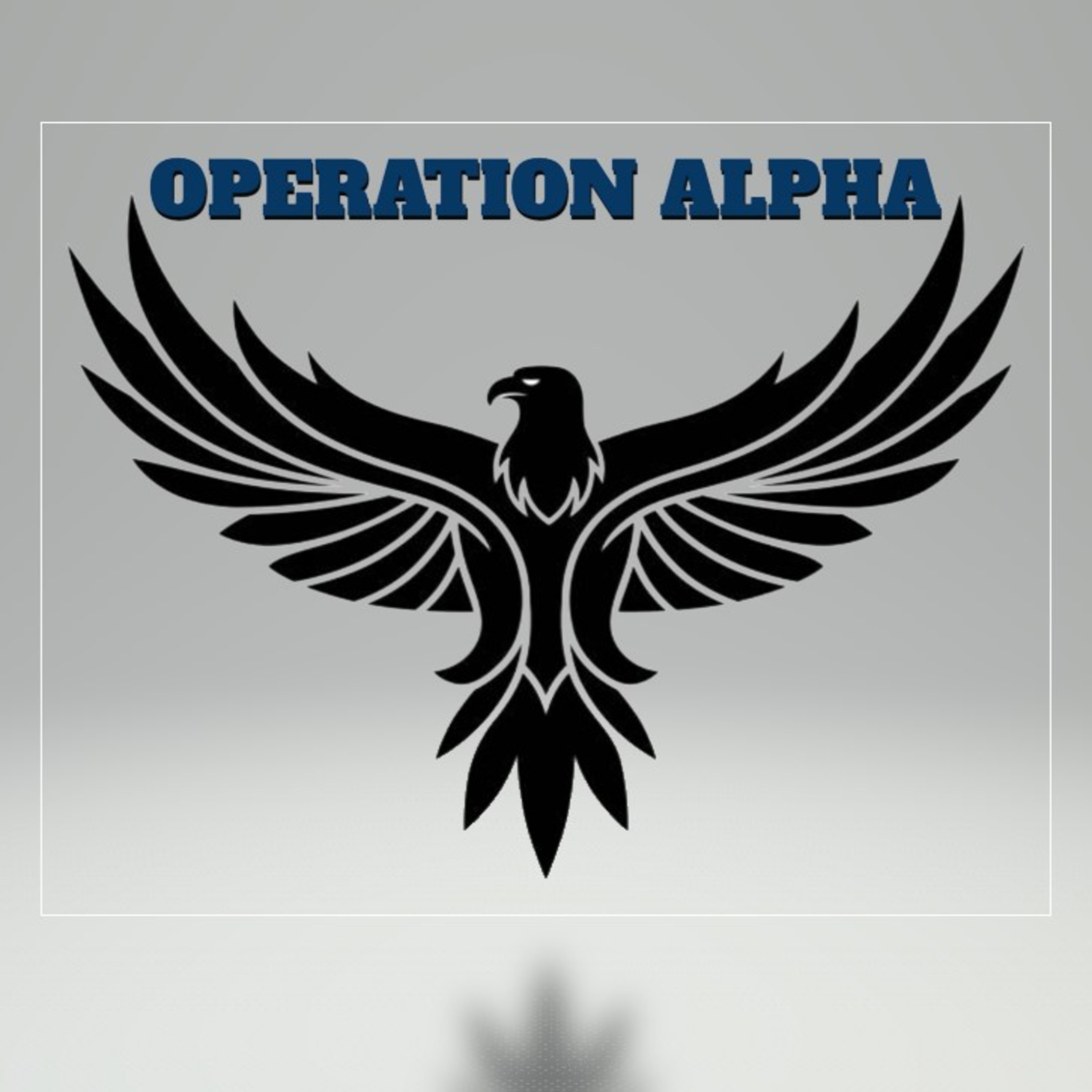 Operation ALPHA #2 episode artwork
