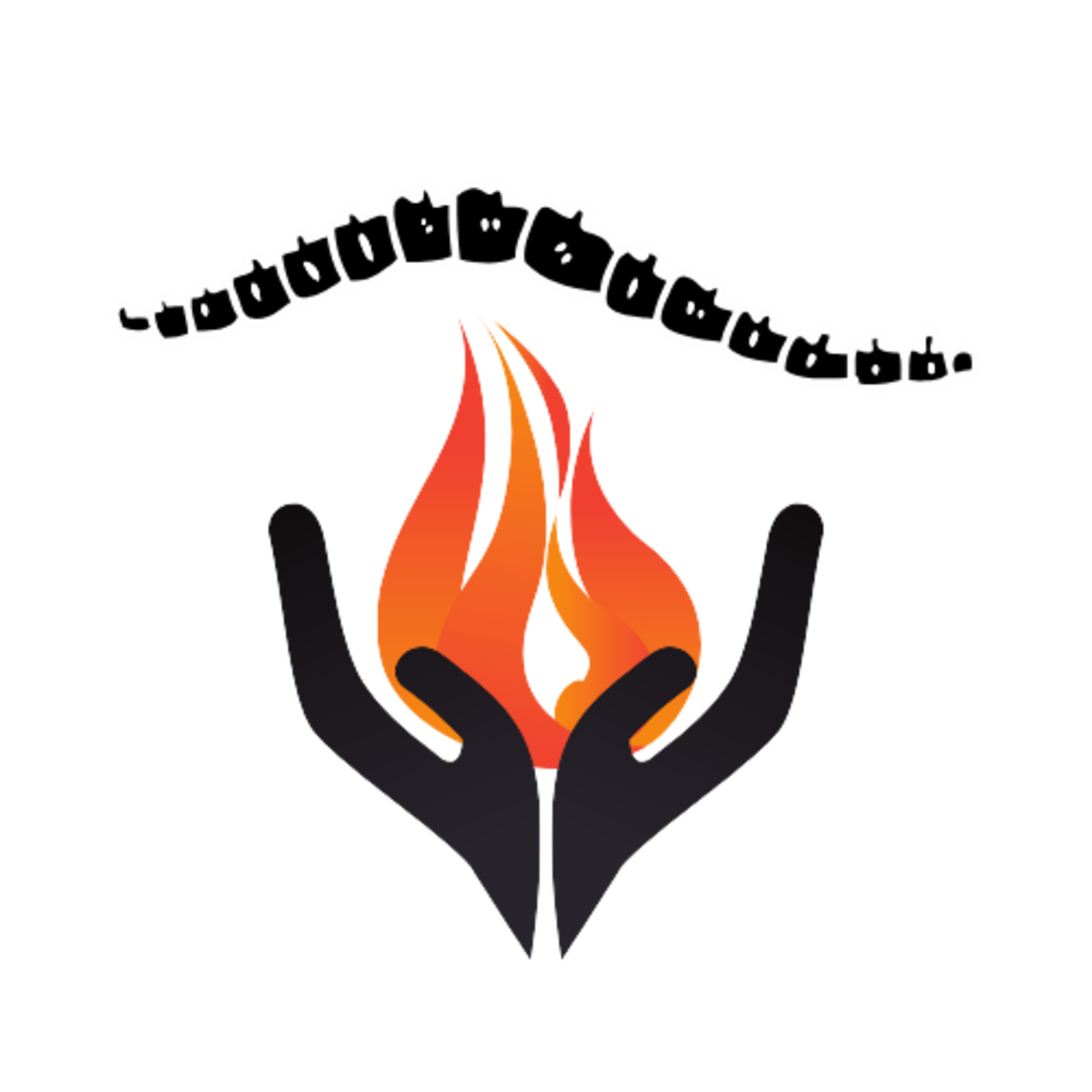 The Chiropractic Domain