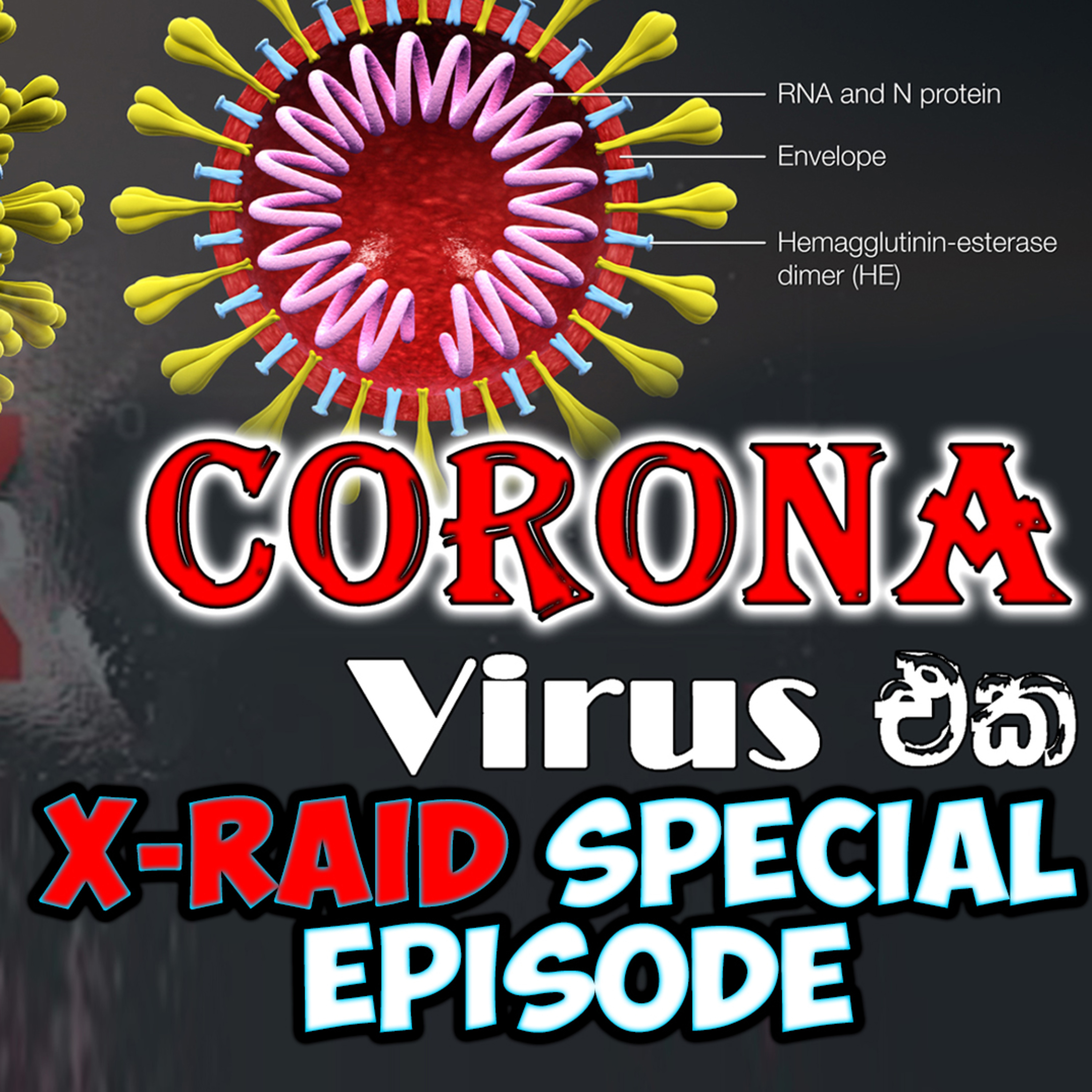 What is corona virus? in Sinhala (කොරෝනා වසංගතය ගැන සිංහලෙන්) - X RAID PODCAST Special EPISODE episode artwork