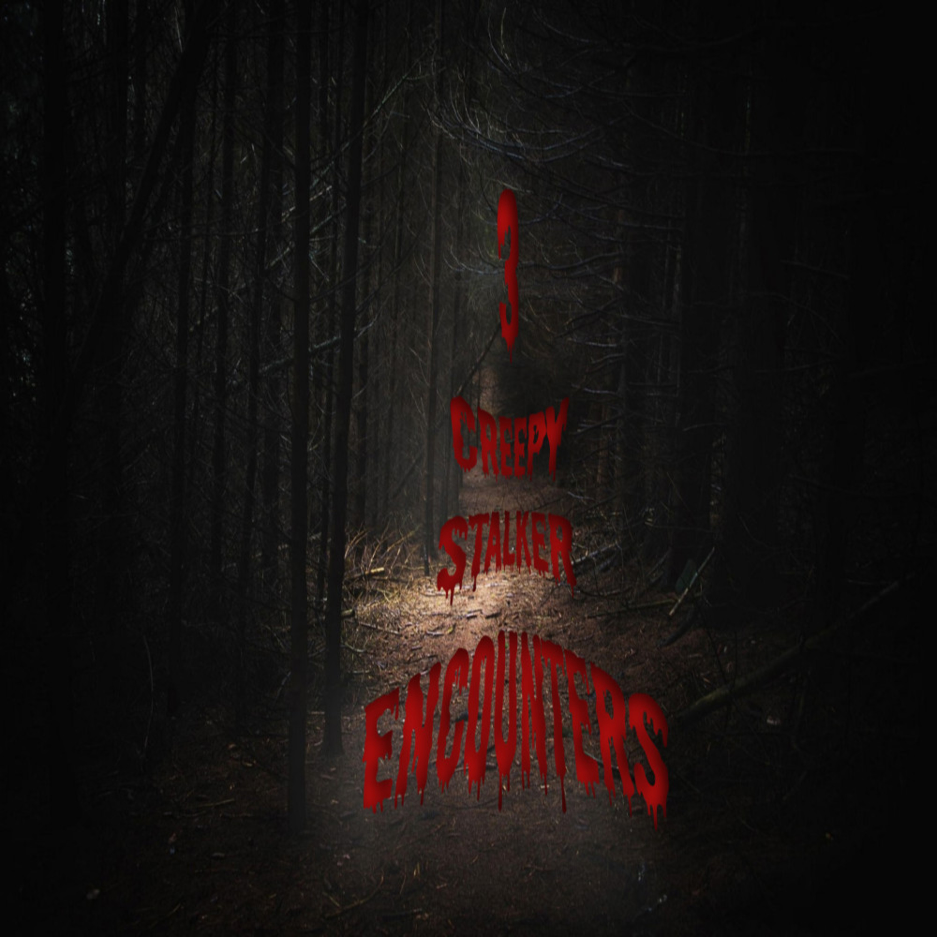  Scary Stalker Stories | vol 2 episode artwork