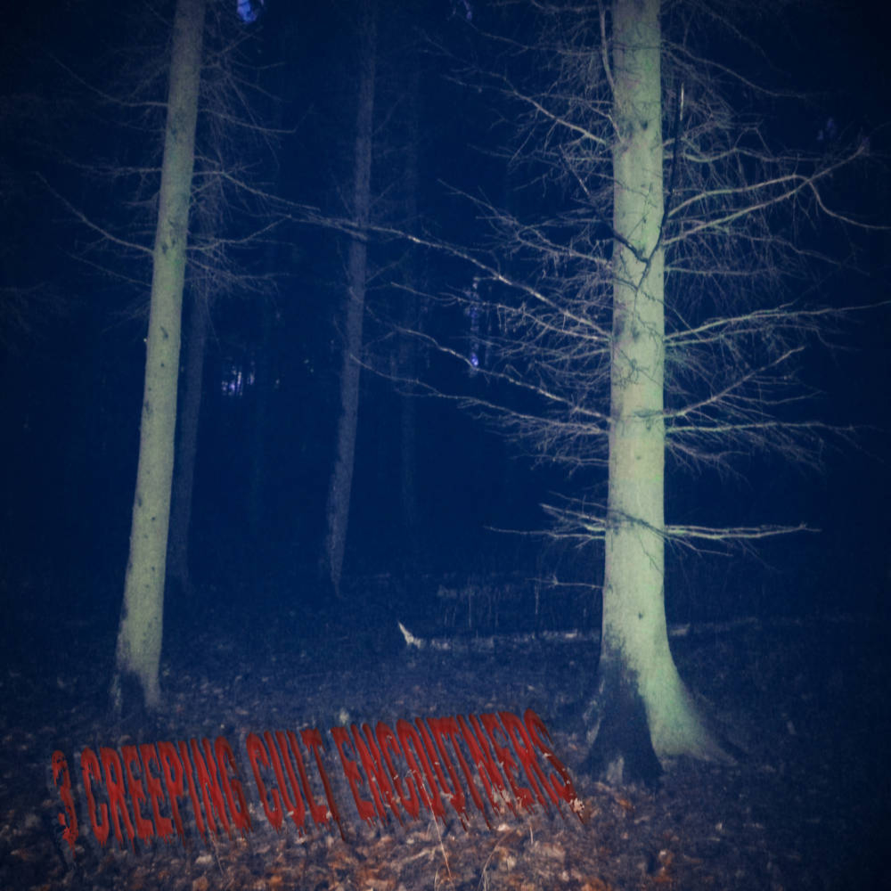 3 Scary Cult Encounters episode artwork