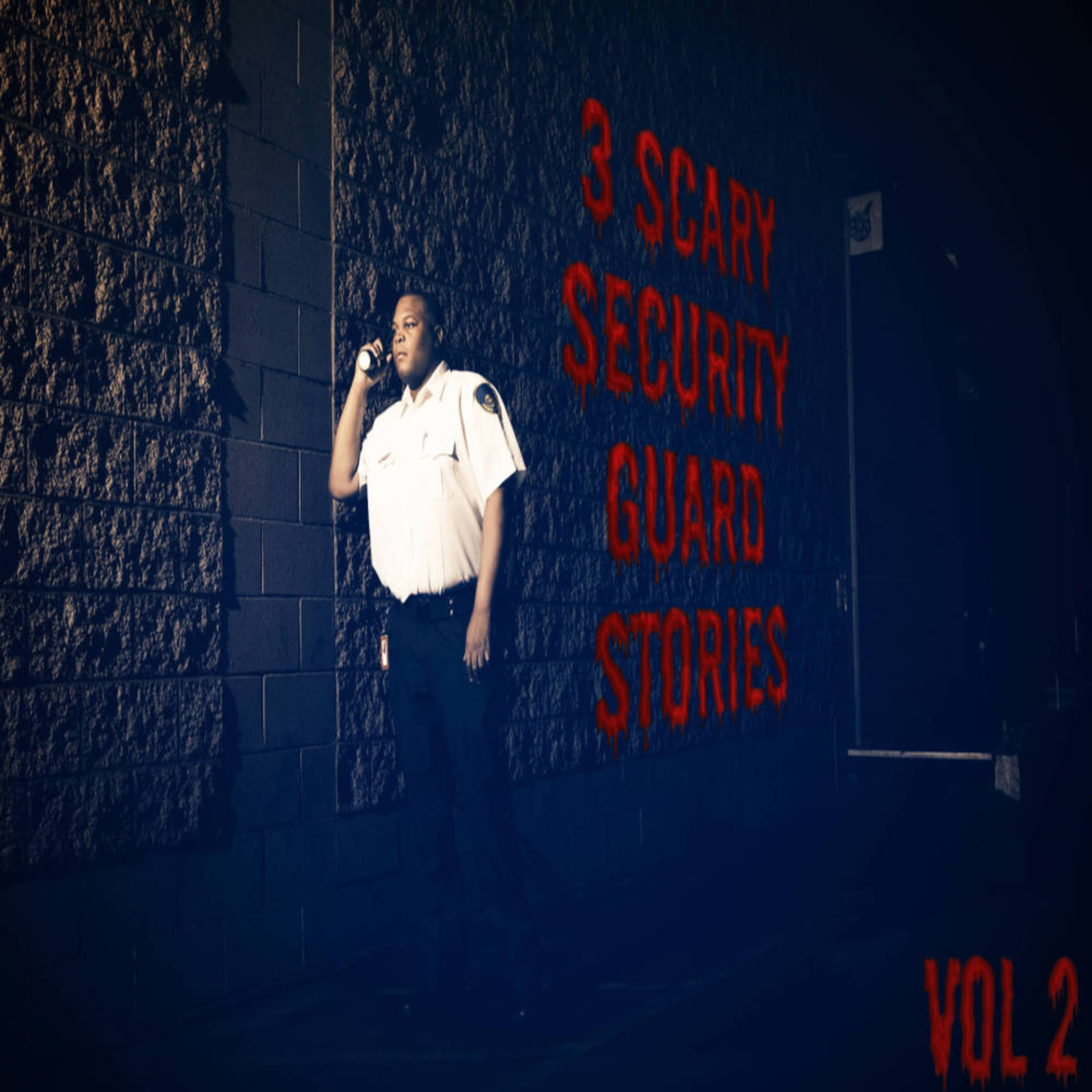 3 Scary Security Guard Stories | Vol 2 episode artwork