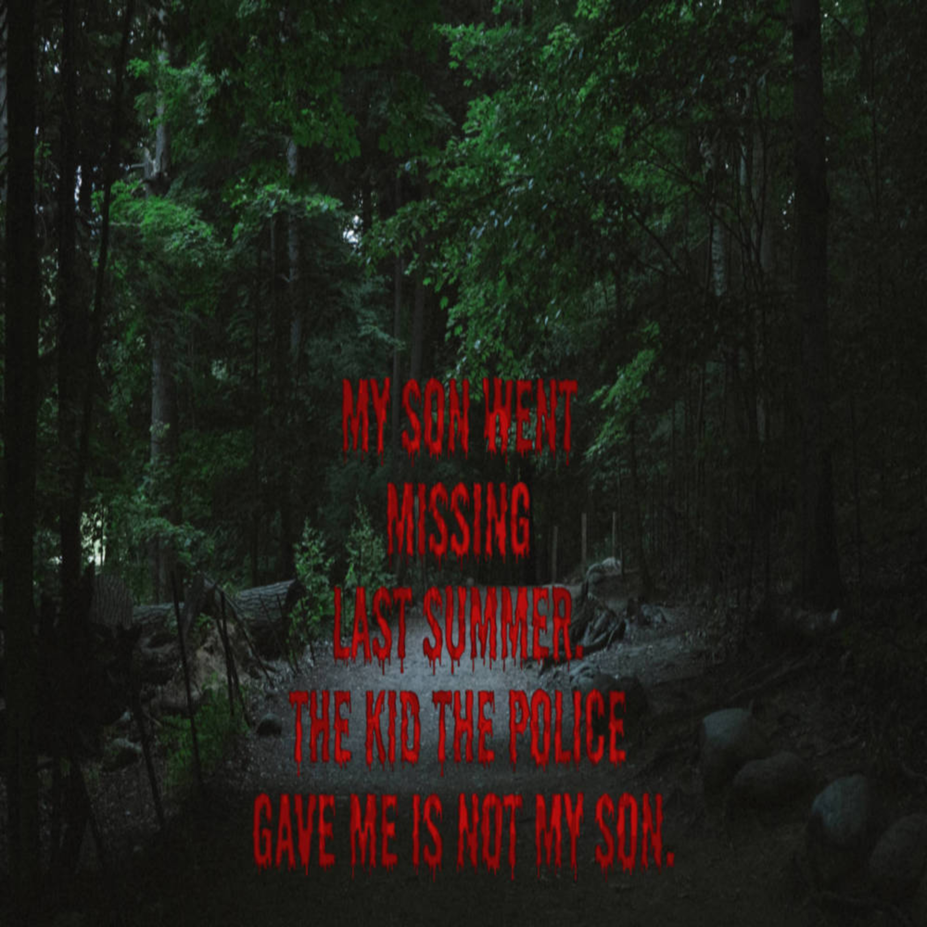 Scary Stories | My Son Went Missing Last Summer. The Kid The Police Gave Me Is Not My Son. episode artwork