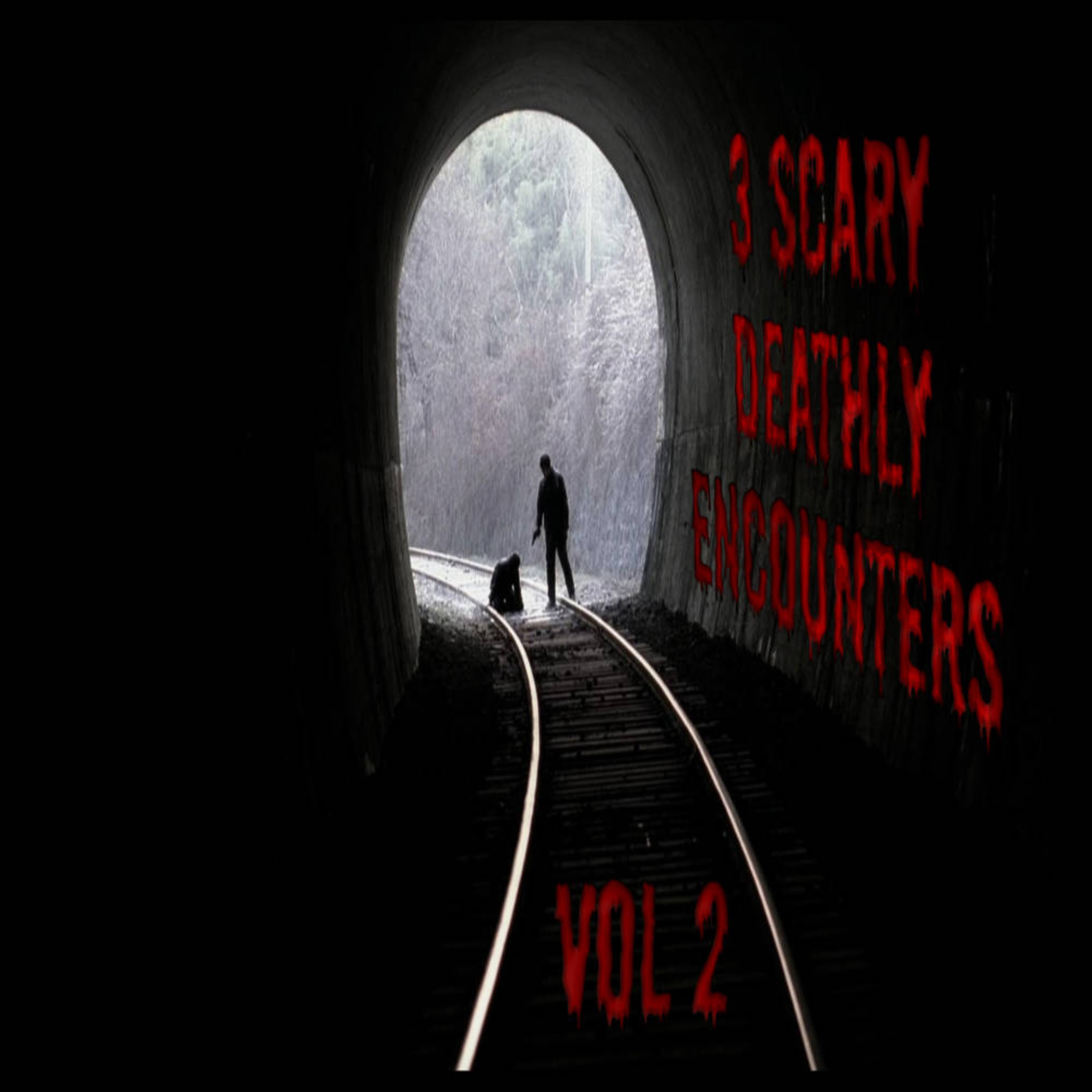 3 Scary Deathly Encounters | Vol. 2 episode artwork