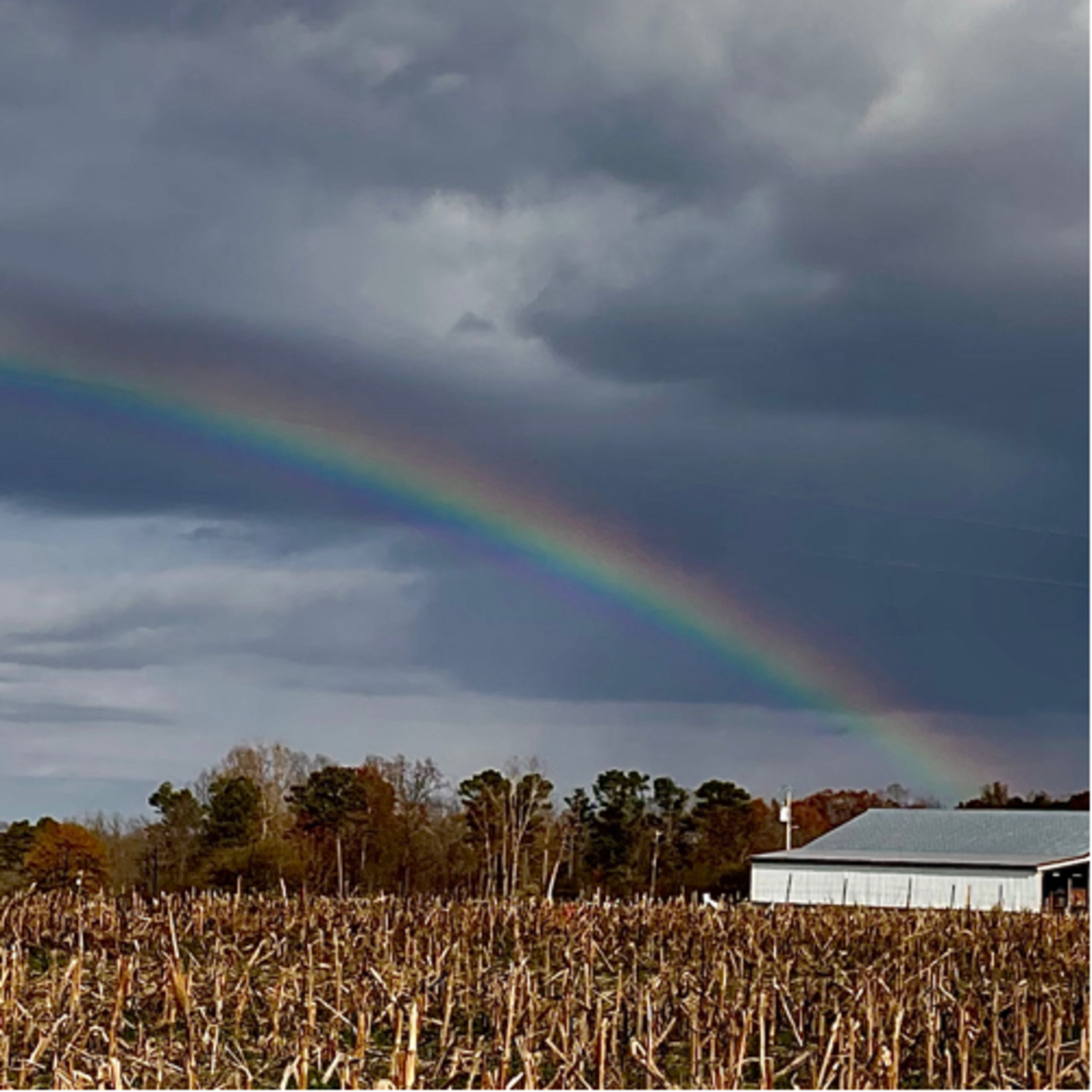 The Gospel of Redemption