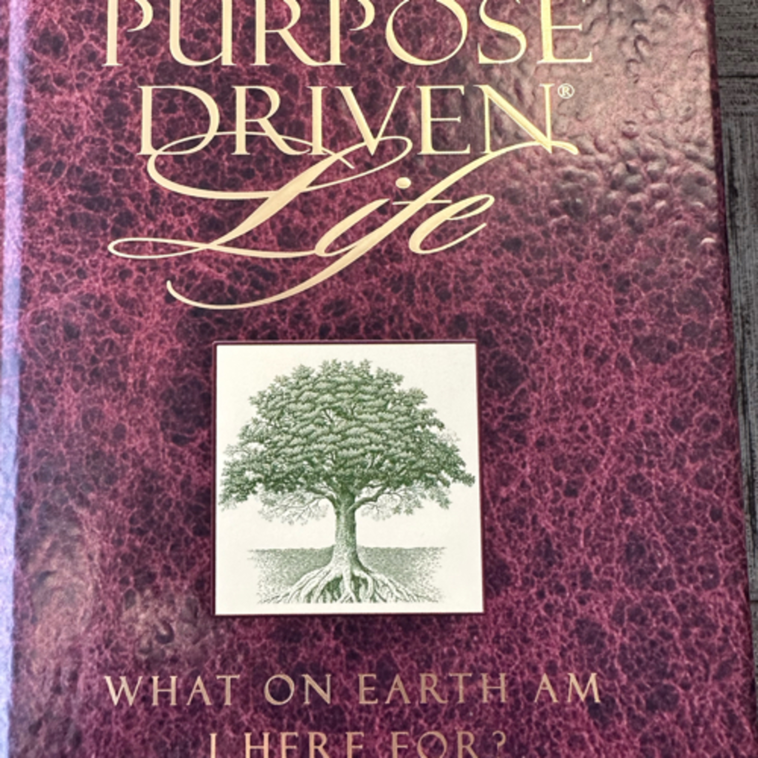 Born to Succeed- E.94-“The Purpose Driven Life- What on Earth Am I Here For ?”  episode artwork