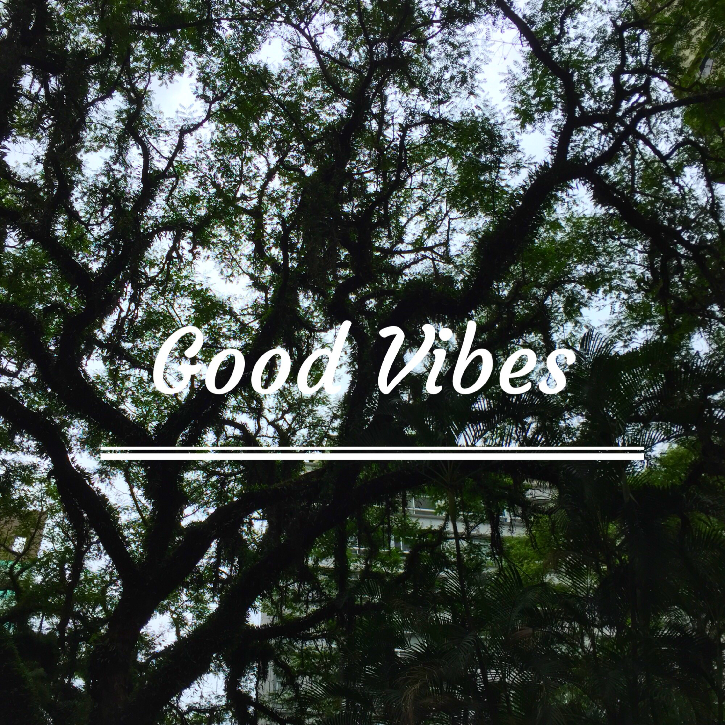 Good Vibes: Entrevista Roberta Frossard 