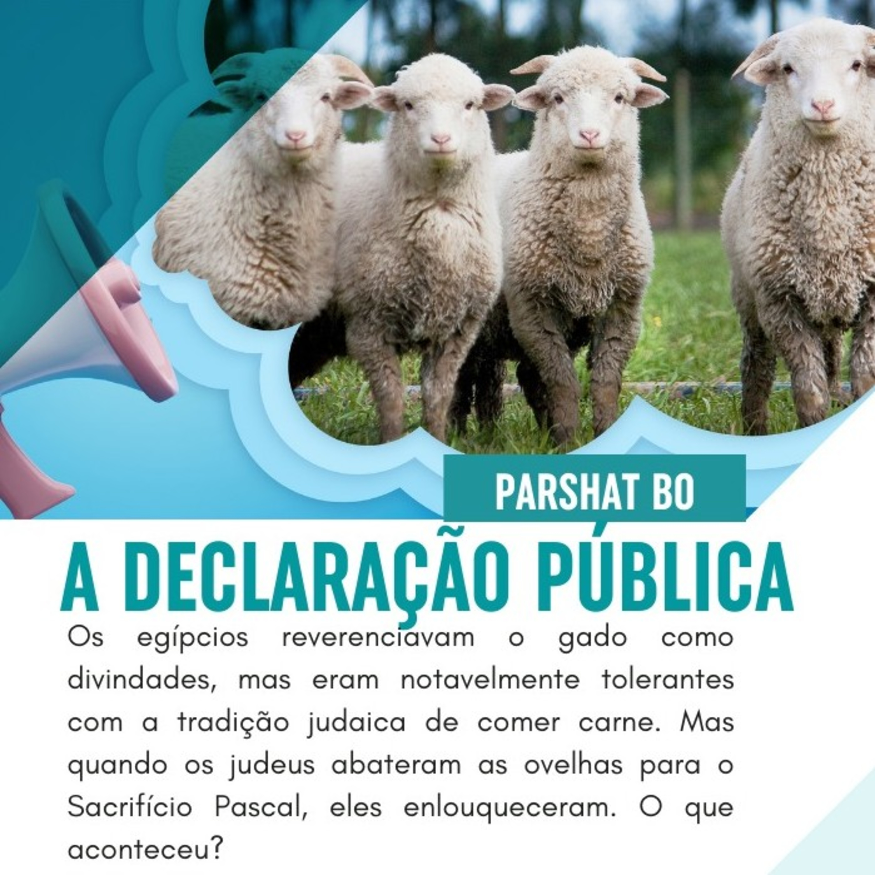 A DECLARAÇÃO PÚBLICA - A Mística da Parashá Bô 