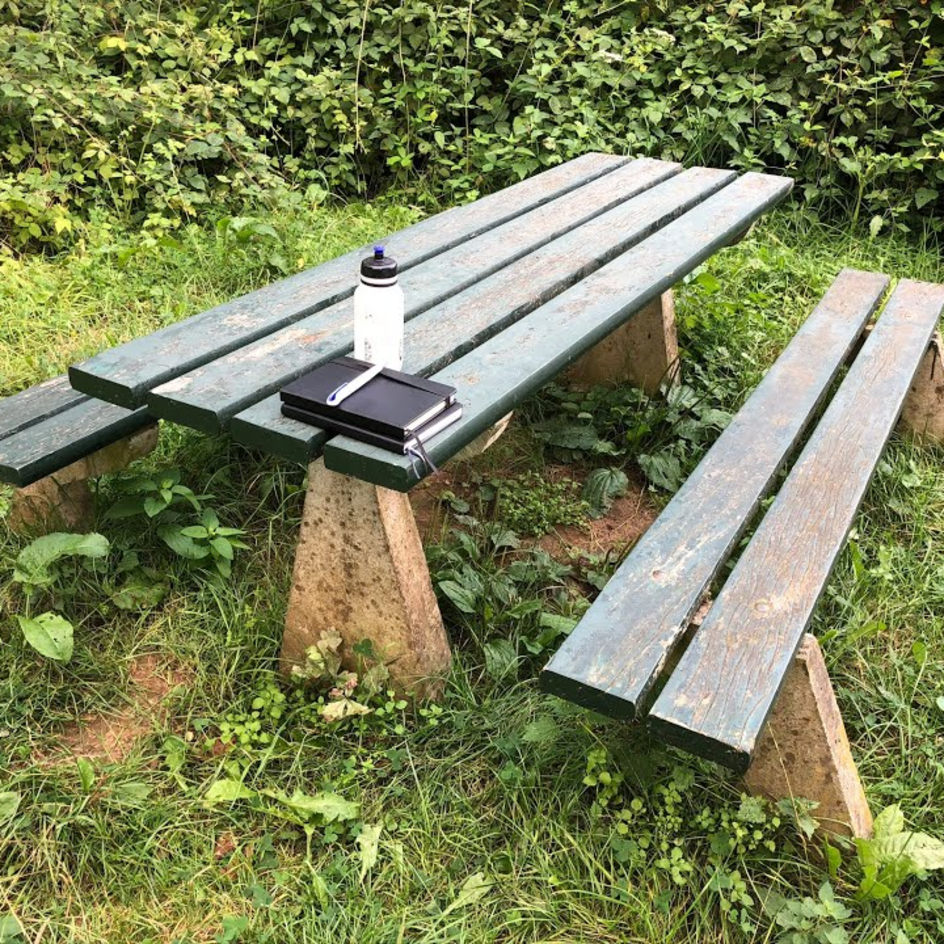 Verwonder je over het leven