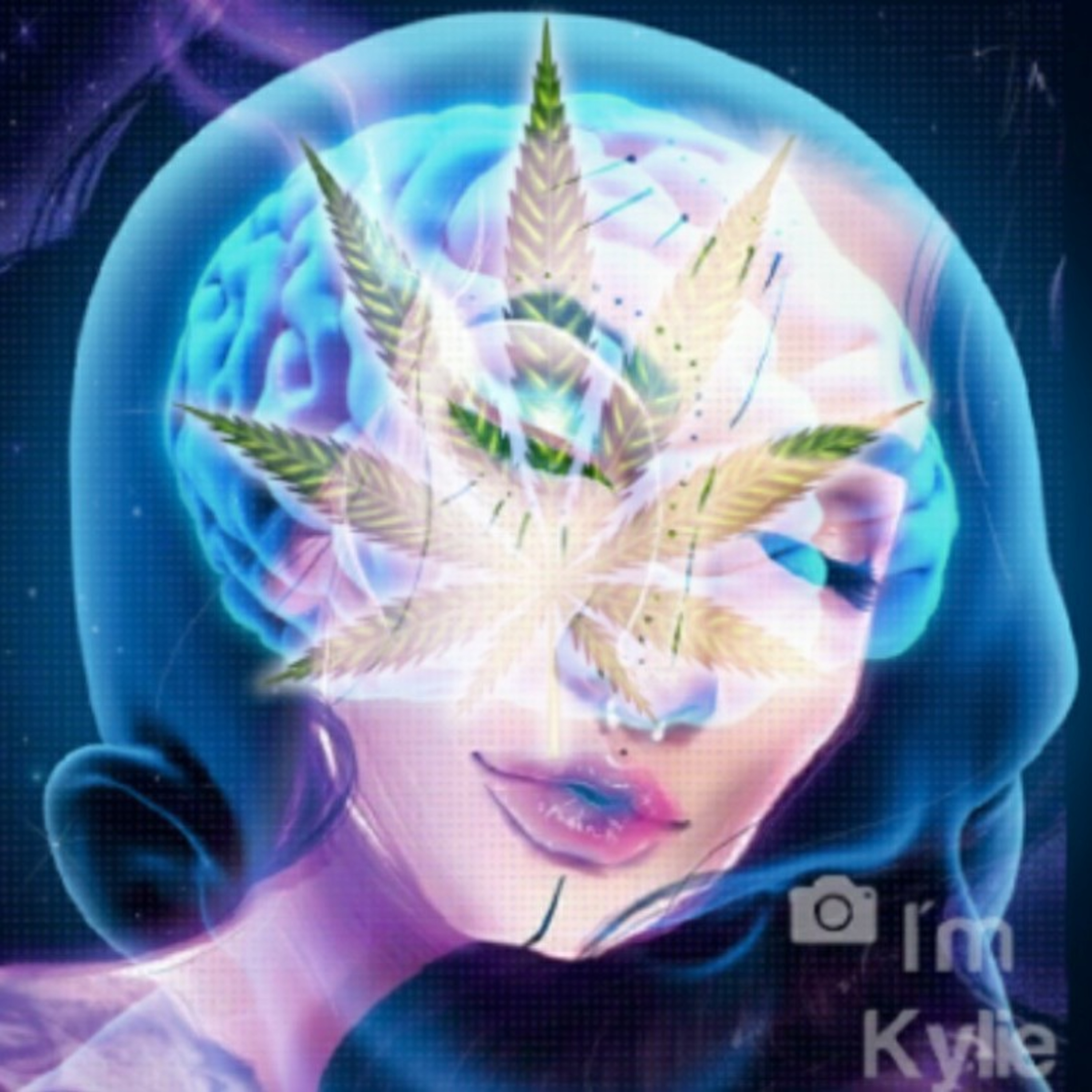 Let\'s Talk Cannabis