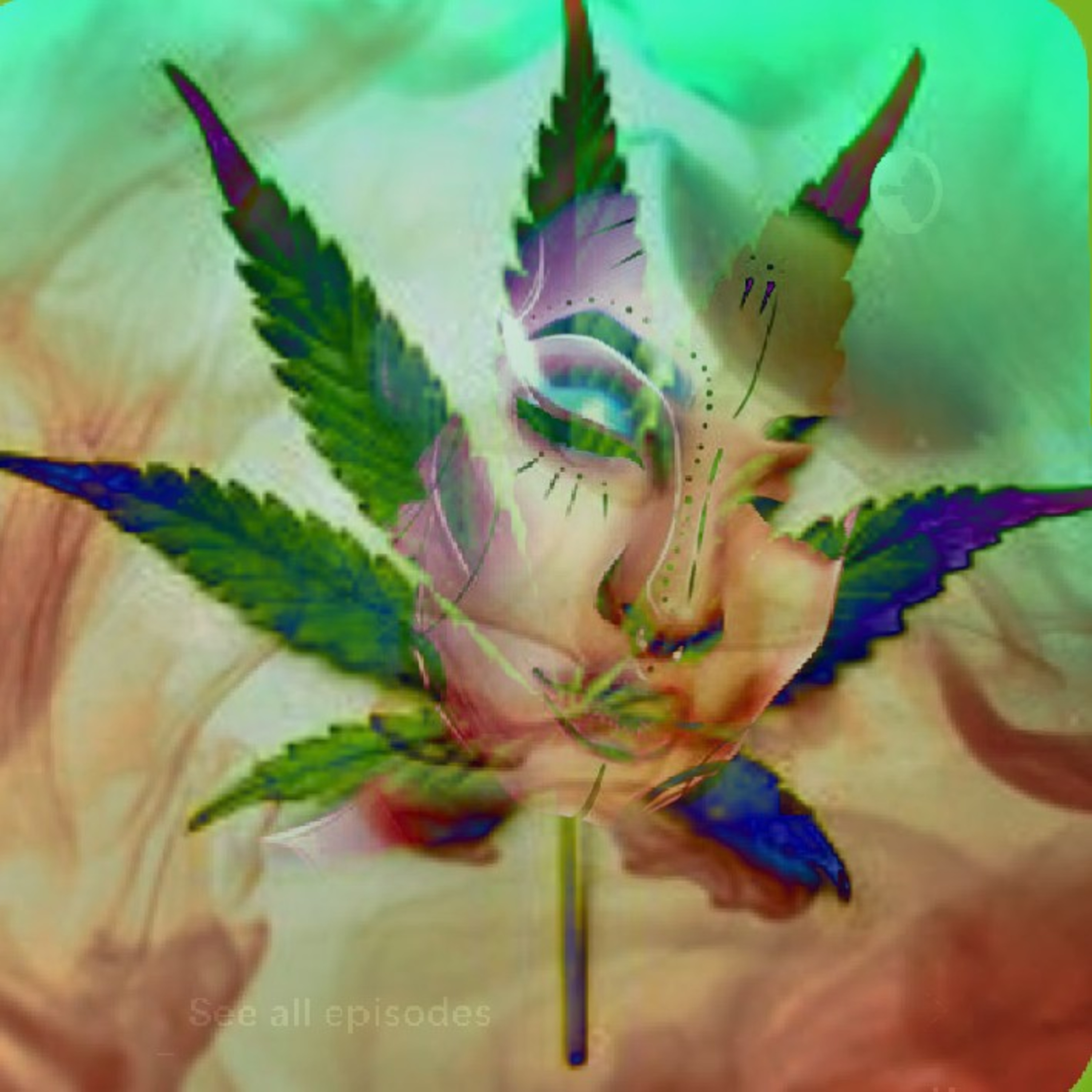 Let\'s Talk Cannabis