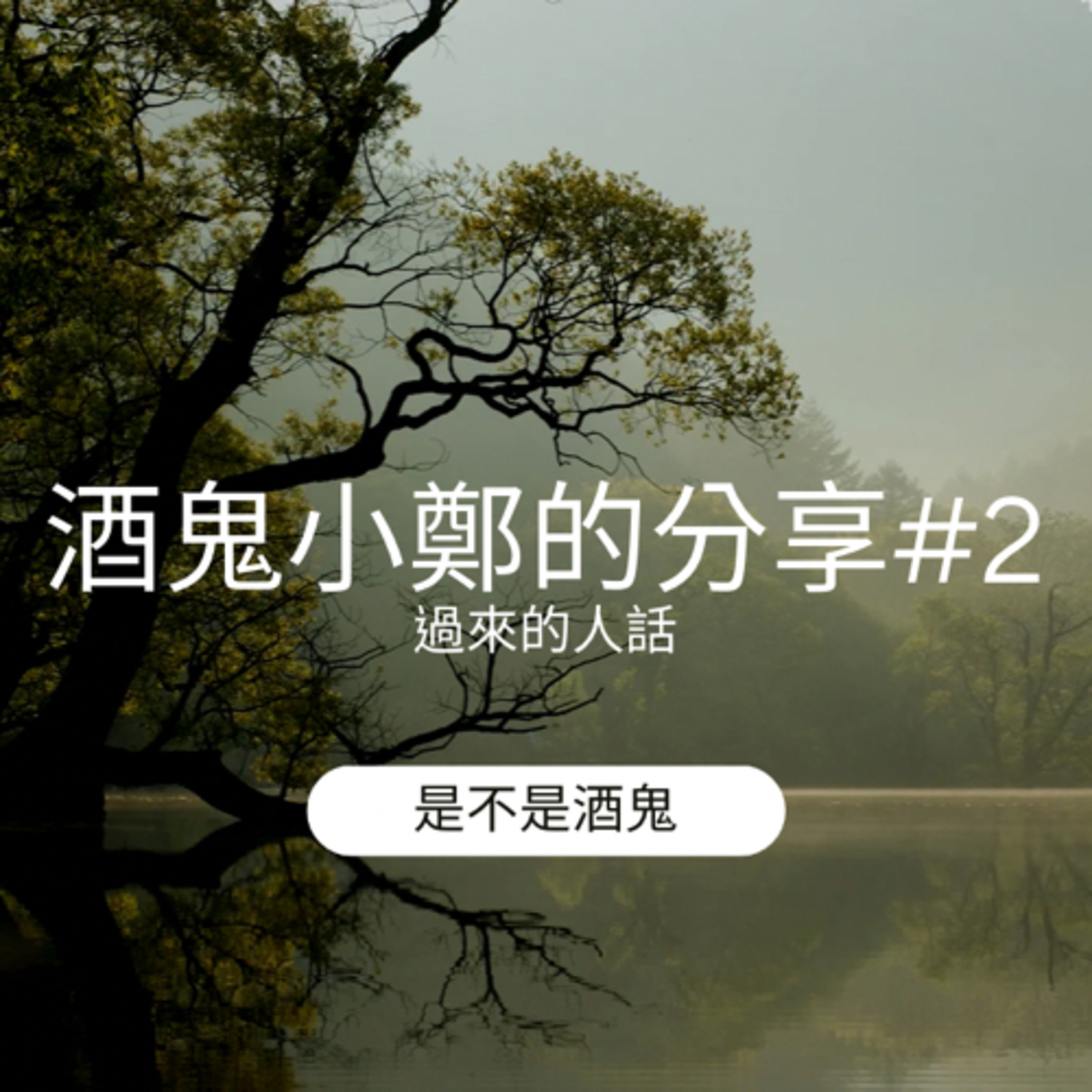 酒鬼鄭-12步驟或另外話題分享