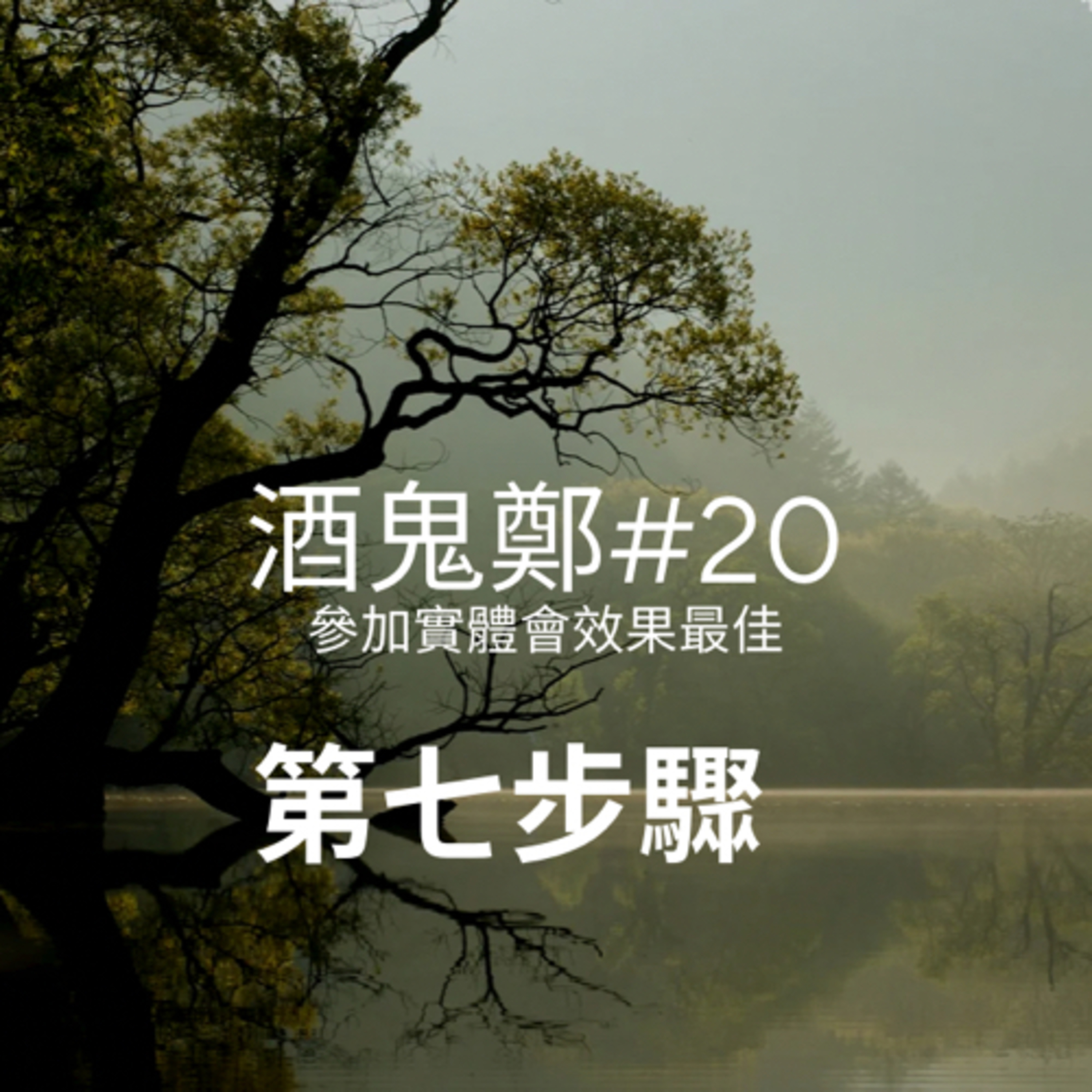 酒鬼鄭-12步驟或另外話題分享