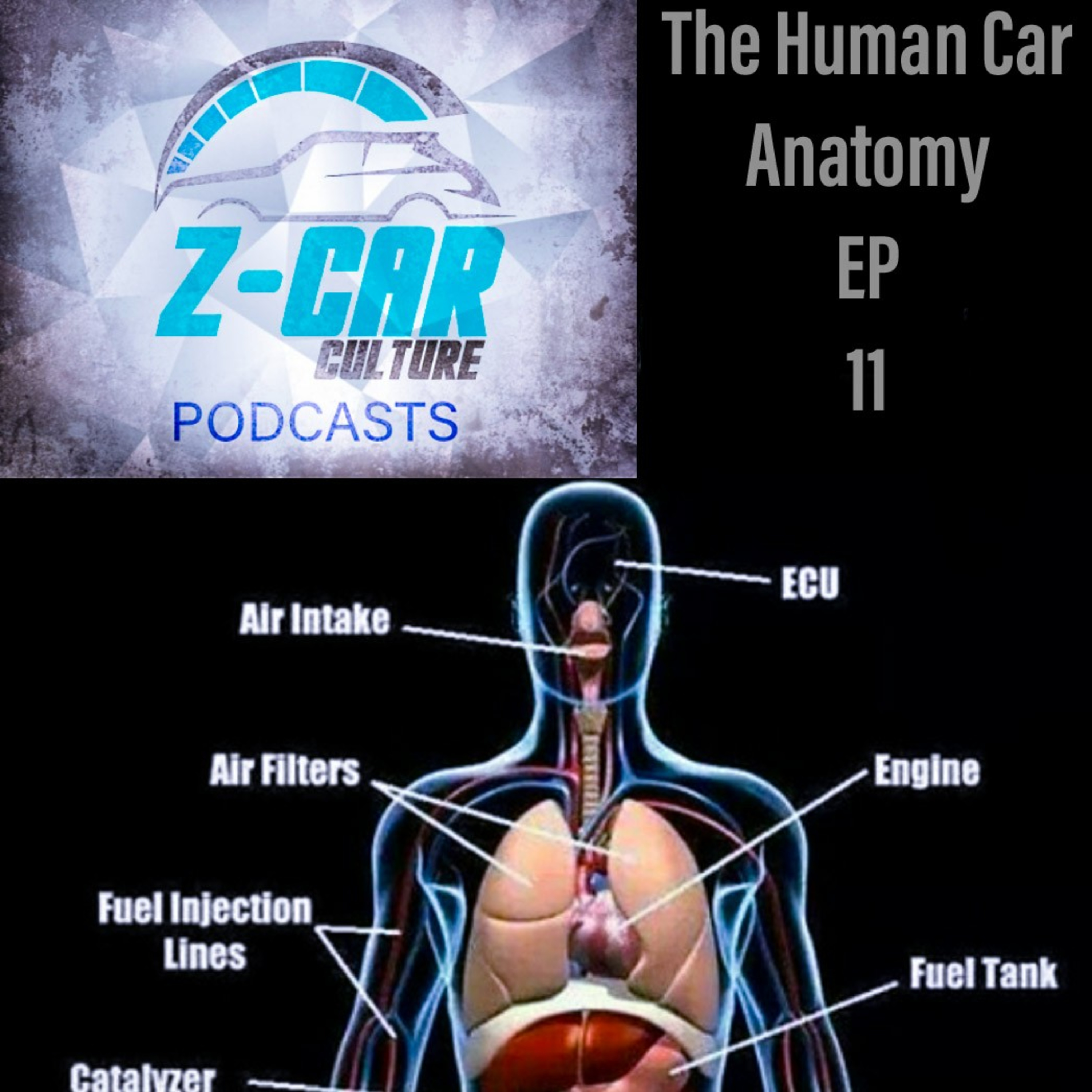 Z-CarCulture Podcasts