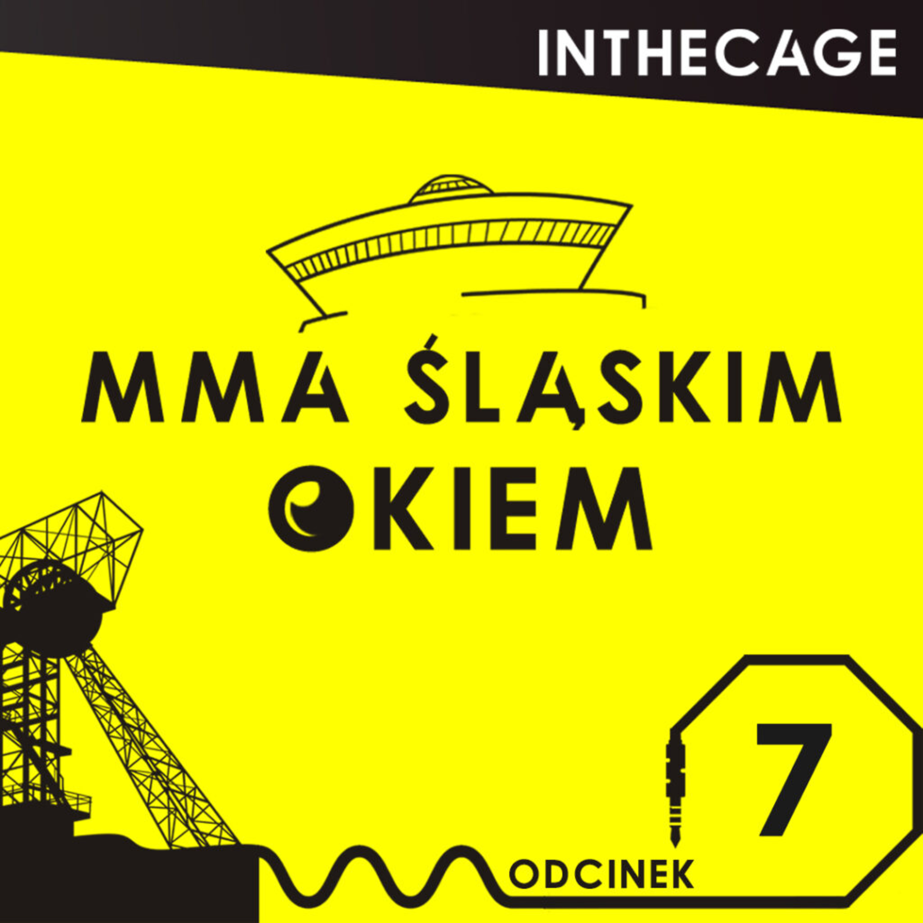 InTheCage.pl