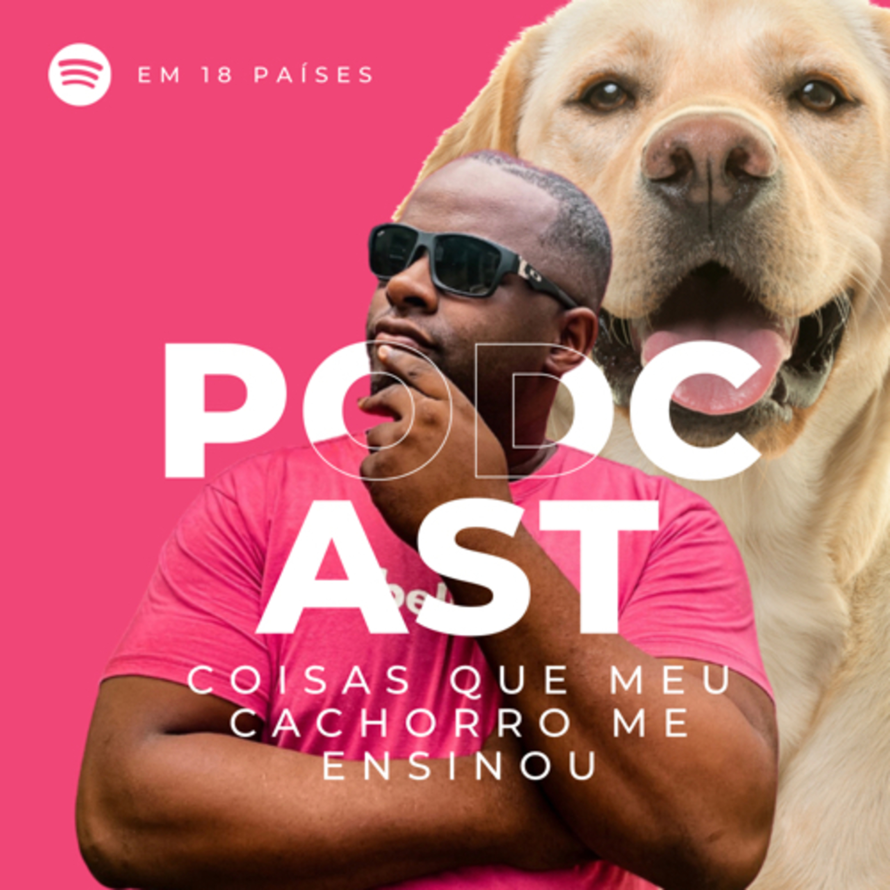 Coisas que meu Cachorro me ensinou 