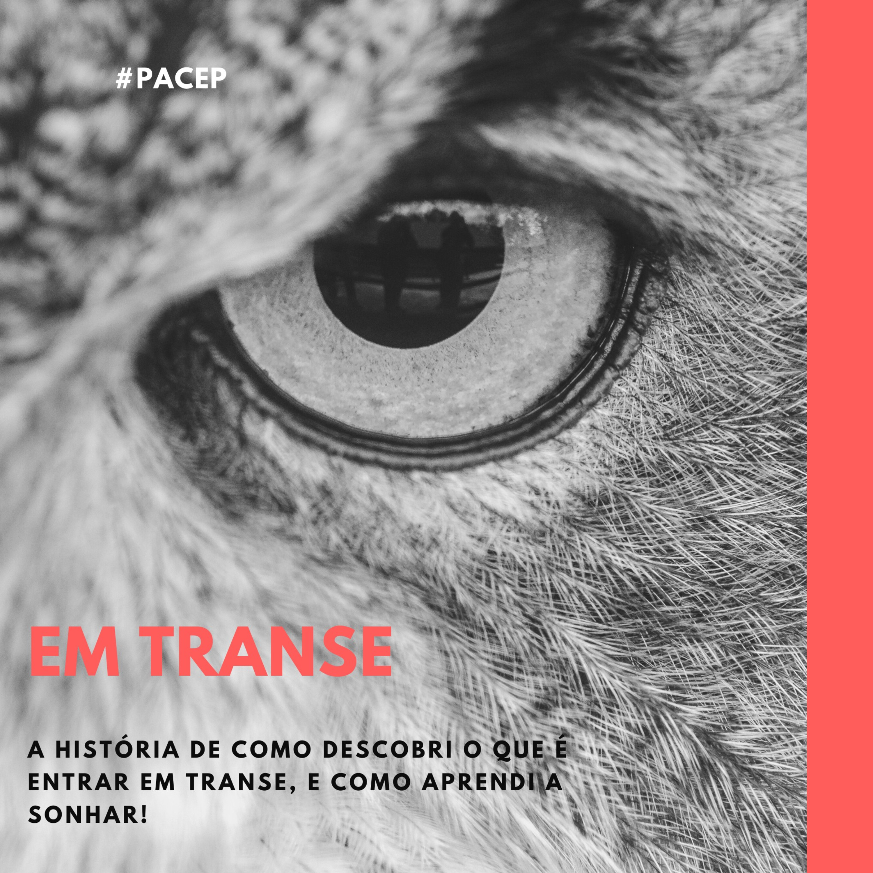 Em transe episode artwork